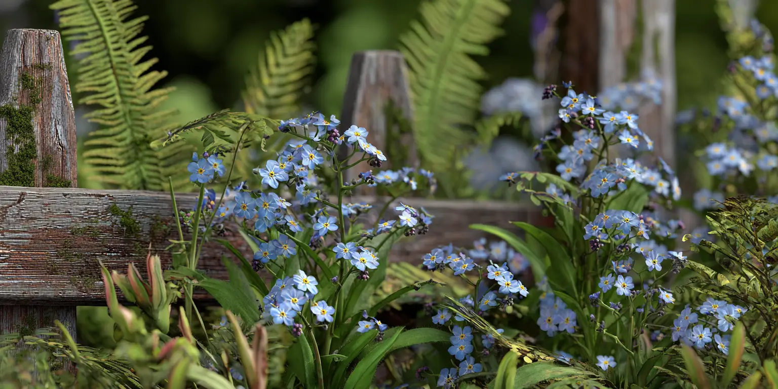 1536x768 True Forget Me Not (Myosotis Scorpioides): Overview