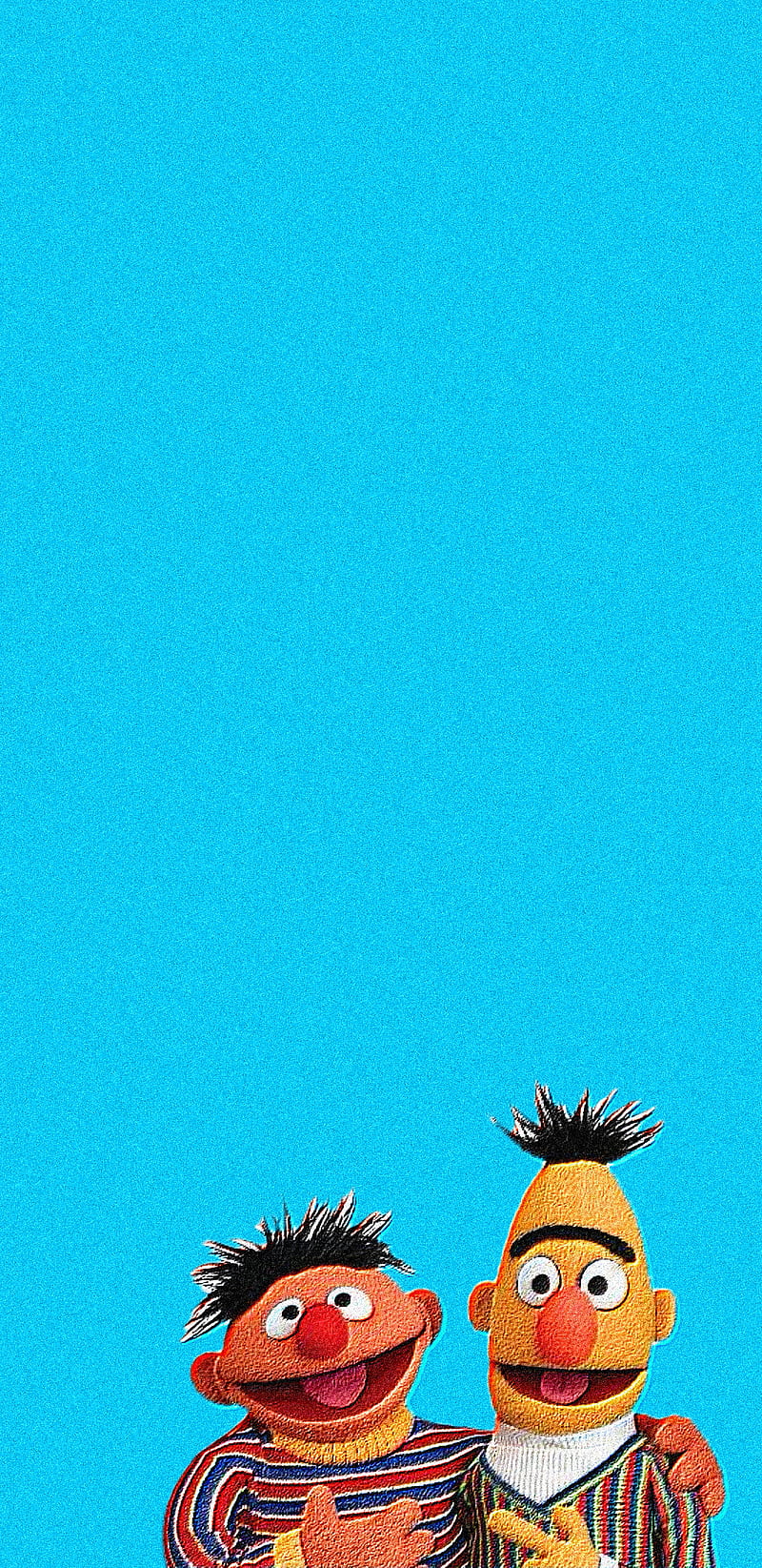 800x1645 HD ernie wallpaper