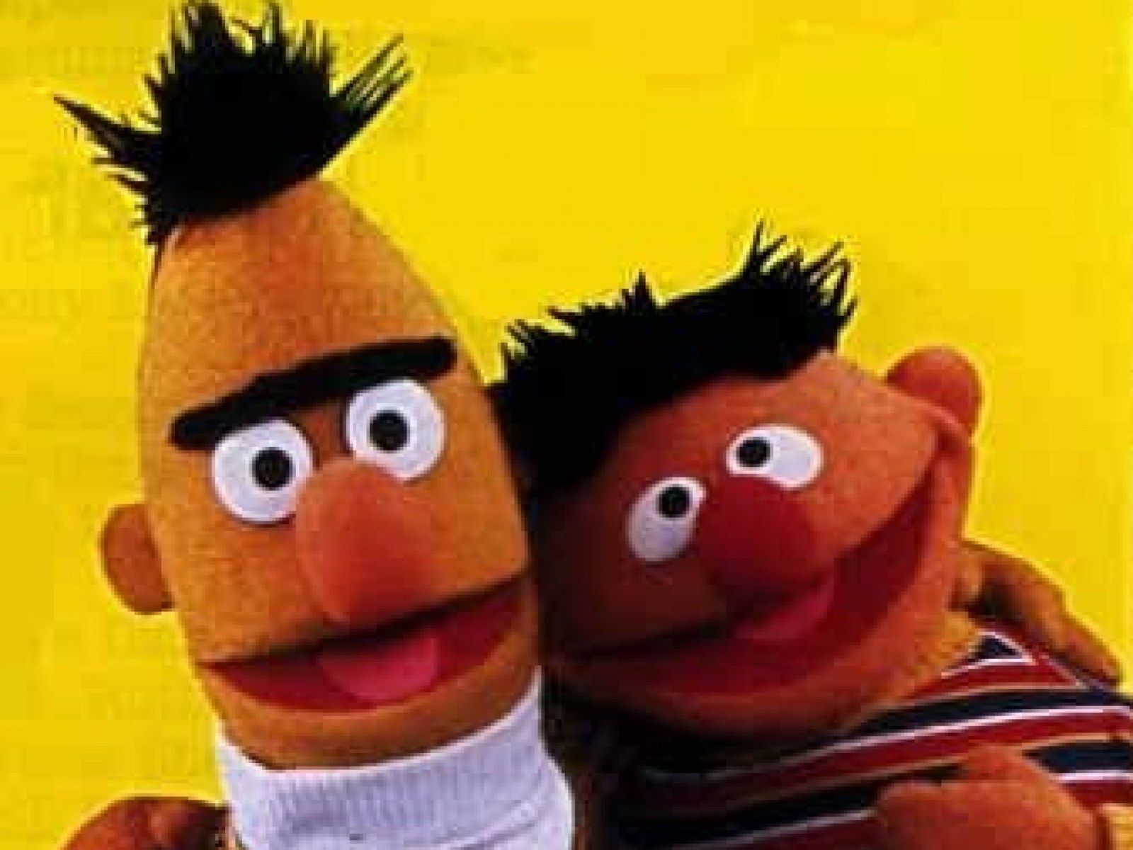 1600x1200 Bert and Ernie Gay? Not That There's Anything Wrong with That