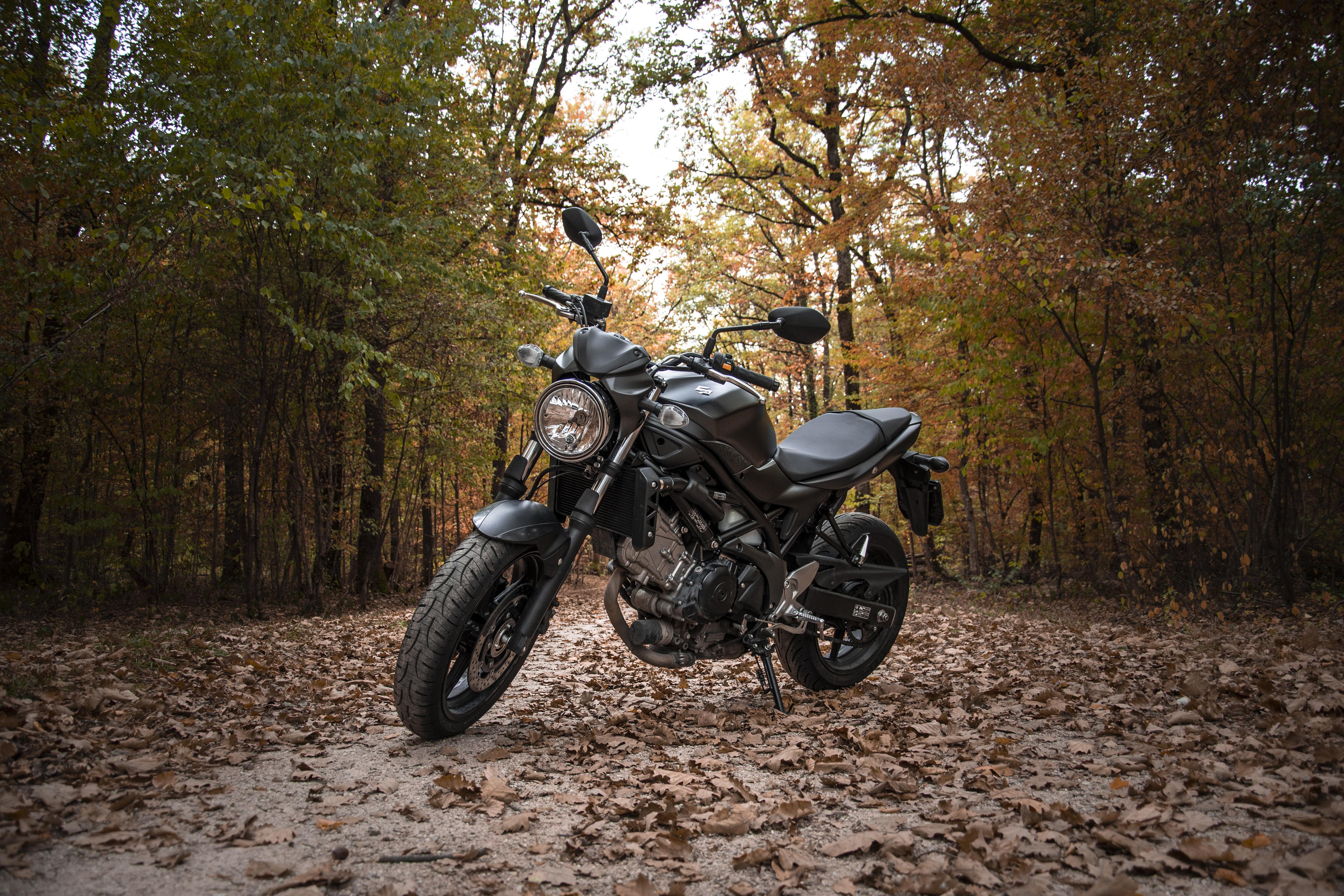 5568x3712 Favorite pic of my SV650