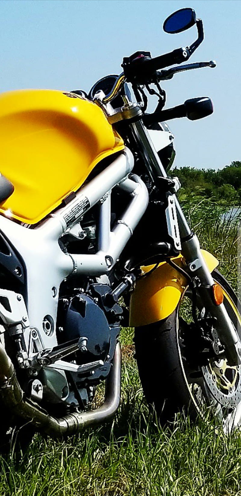 800x1644 HD suzuki sv wallpaper
