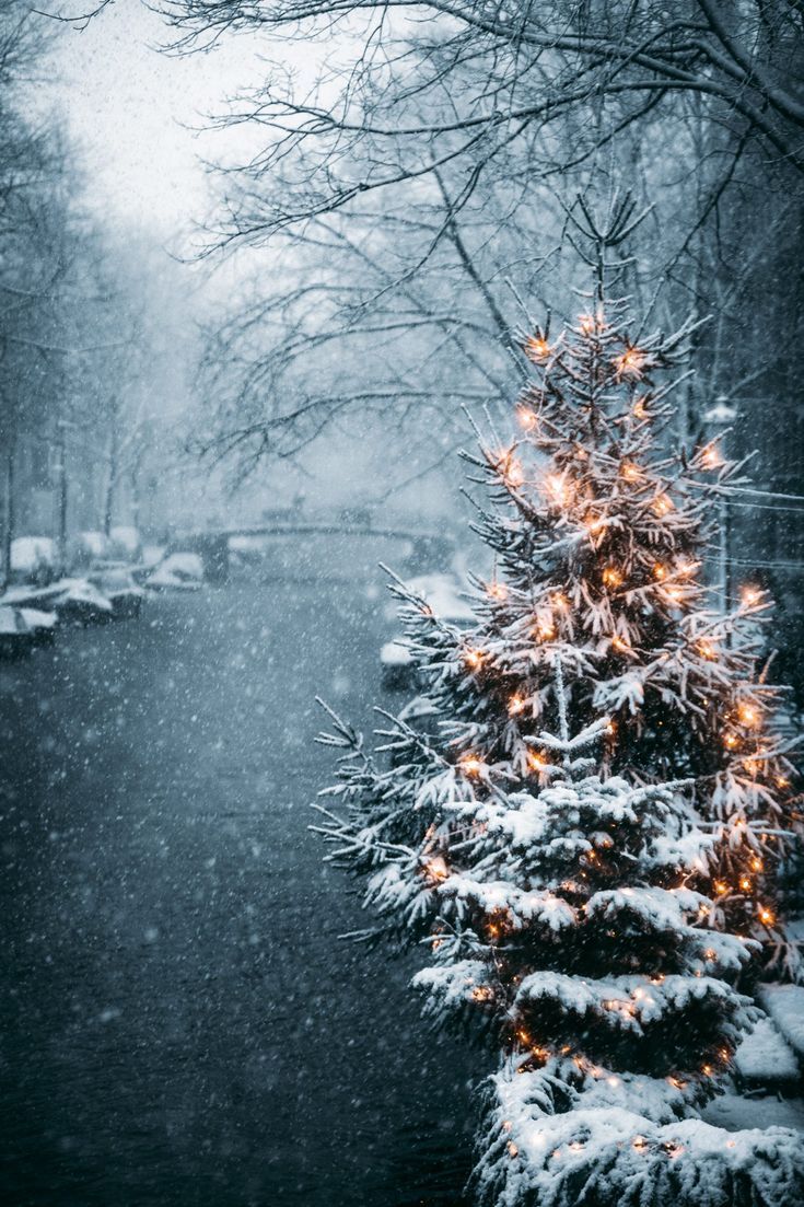 735x1103 Cute Christmas Aesthetic Wallpaper For Your iPhone! All