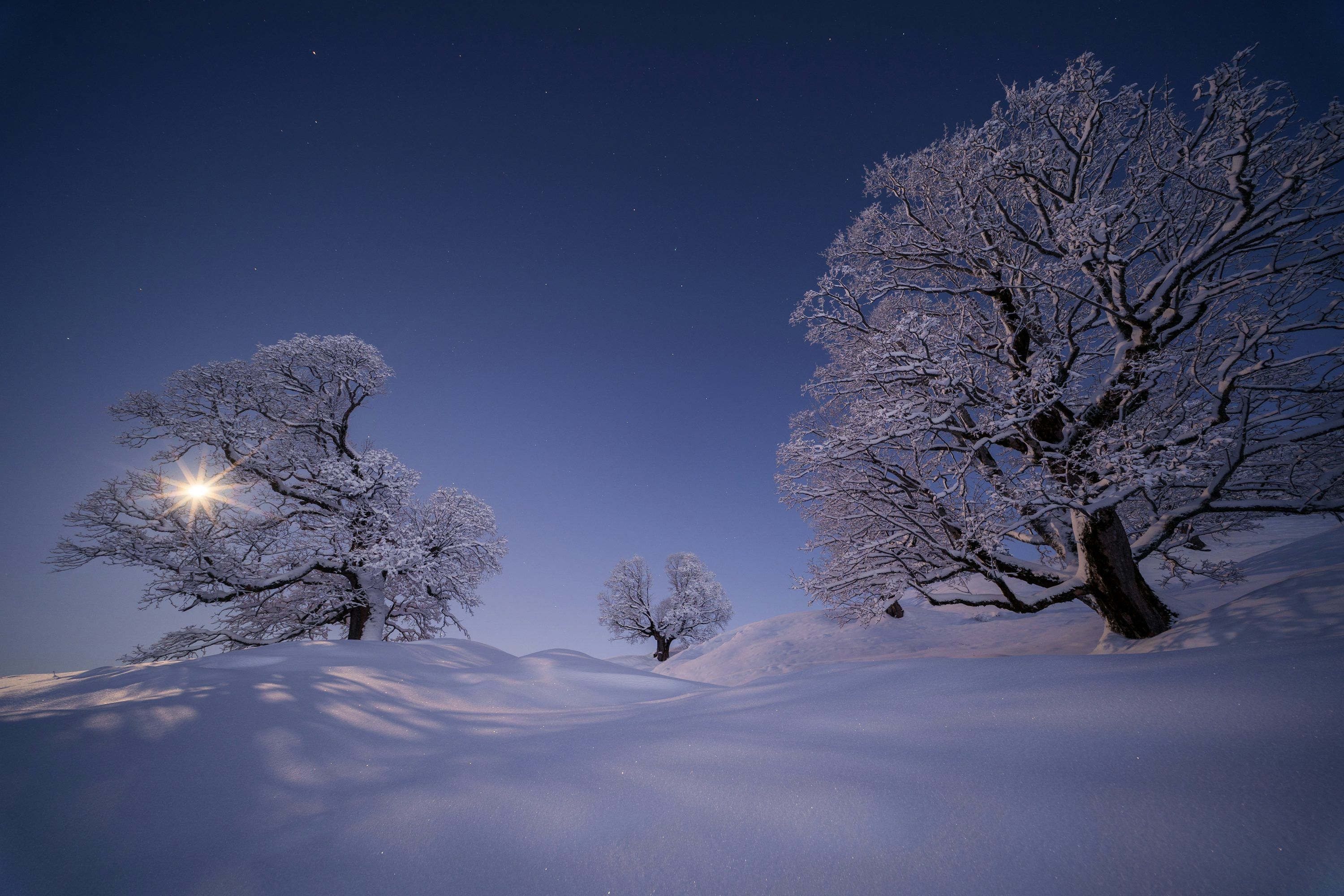 3000x2000 A snowy landscape with trees and a full moon