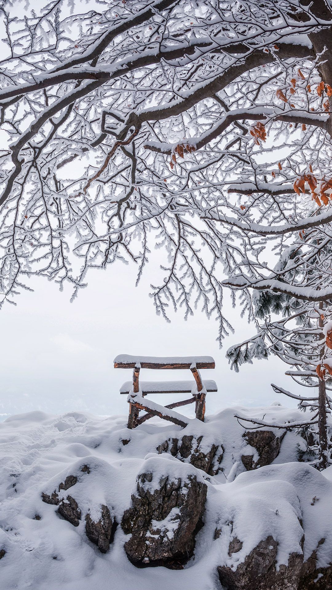 1080x1920 Dreamy Pixel. Free iPhone Wallpaper: A bench under snowy trees