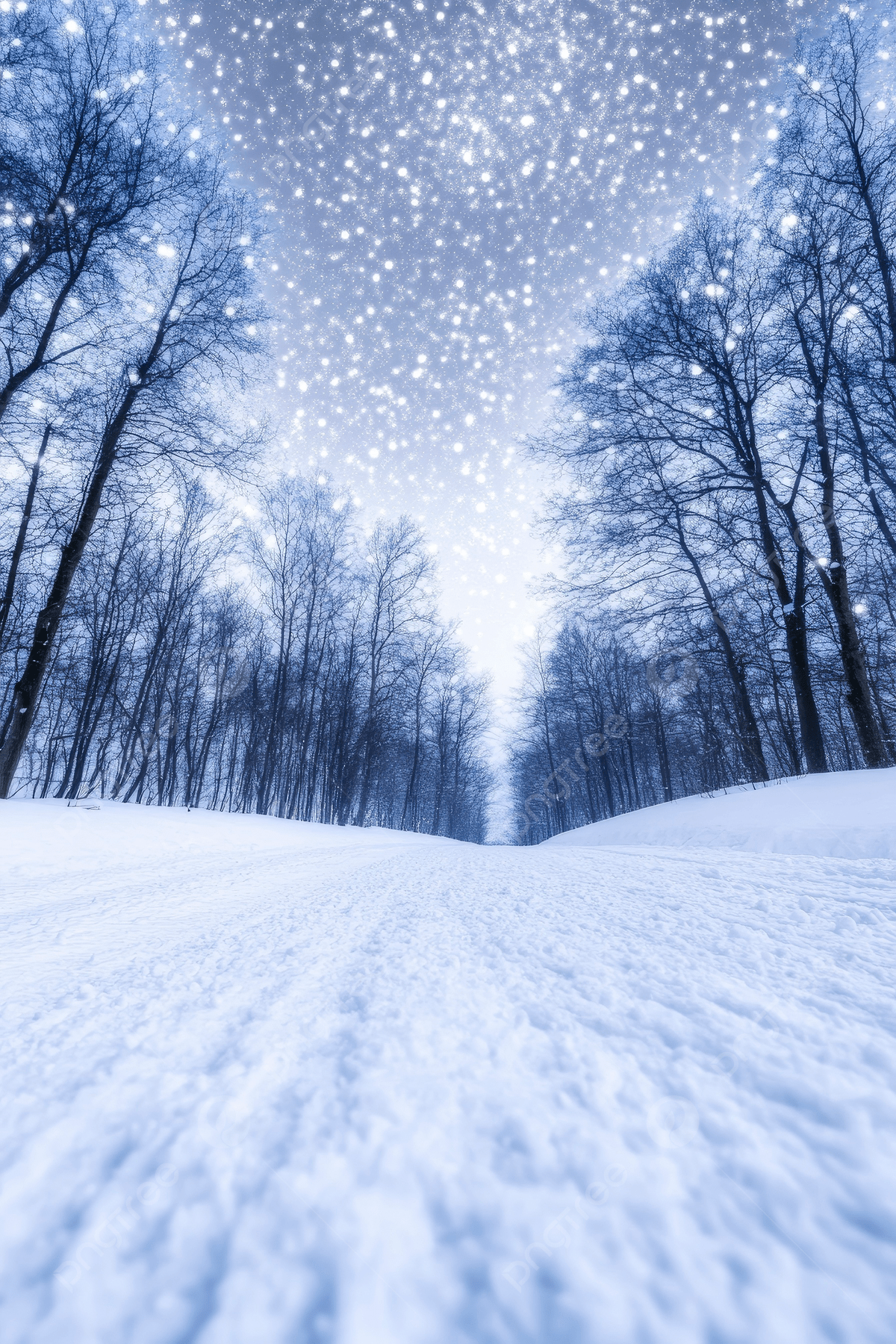 1200x1800 A Beautiful Winter Landscape With Snow Covered Trees And A Road A Glowing Starry Sky In The Background Photo And Picture For Free Download