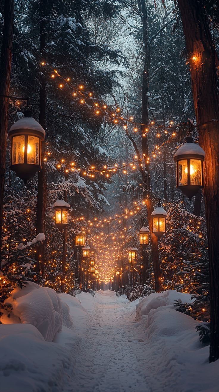 736x1313 Christmas tree in the forest. Twinkling christmas lights, Winter wallpaper, Winter scenes