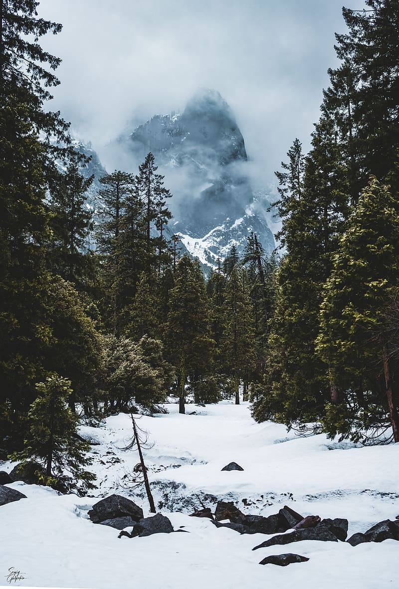 800x1179 Mountain, snow, trees, clouds, winter, landscape, HD phone wallpaper