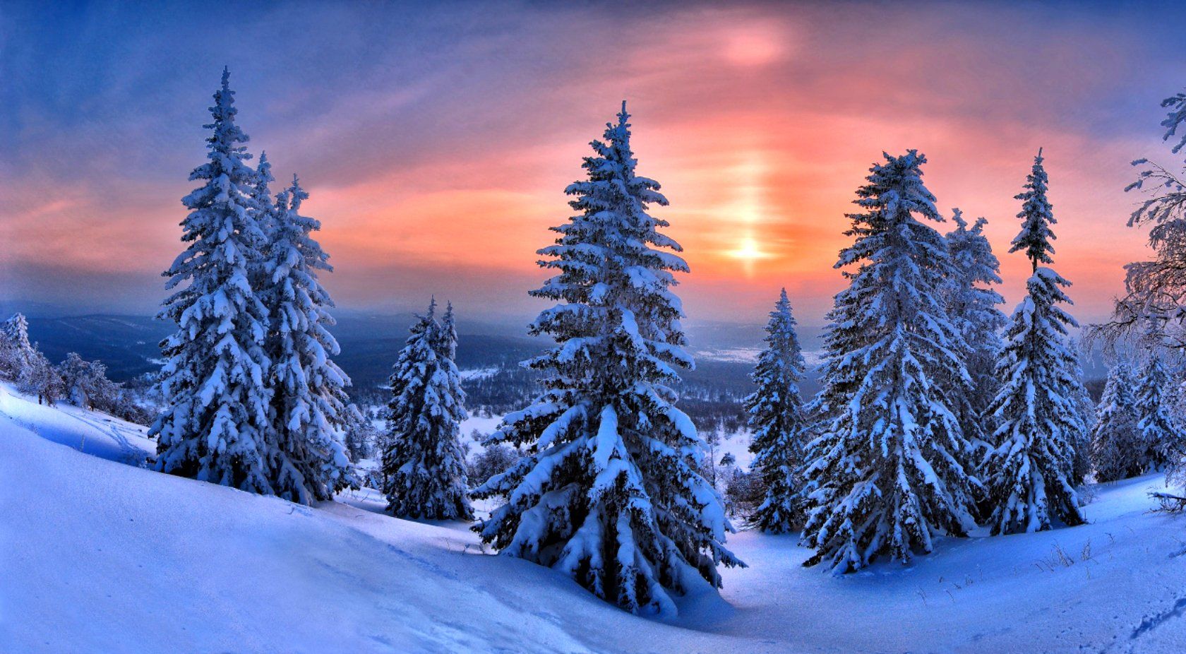 1680x926 Download Landscape Snow Forest Tree Sunset Nature Winter Winter Sunset Wallpaperx926