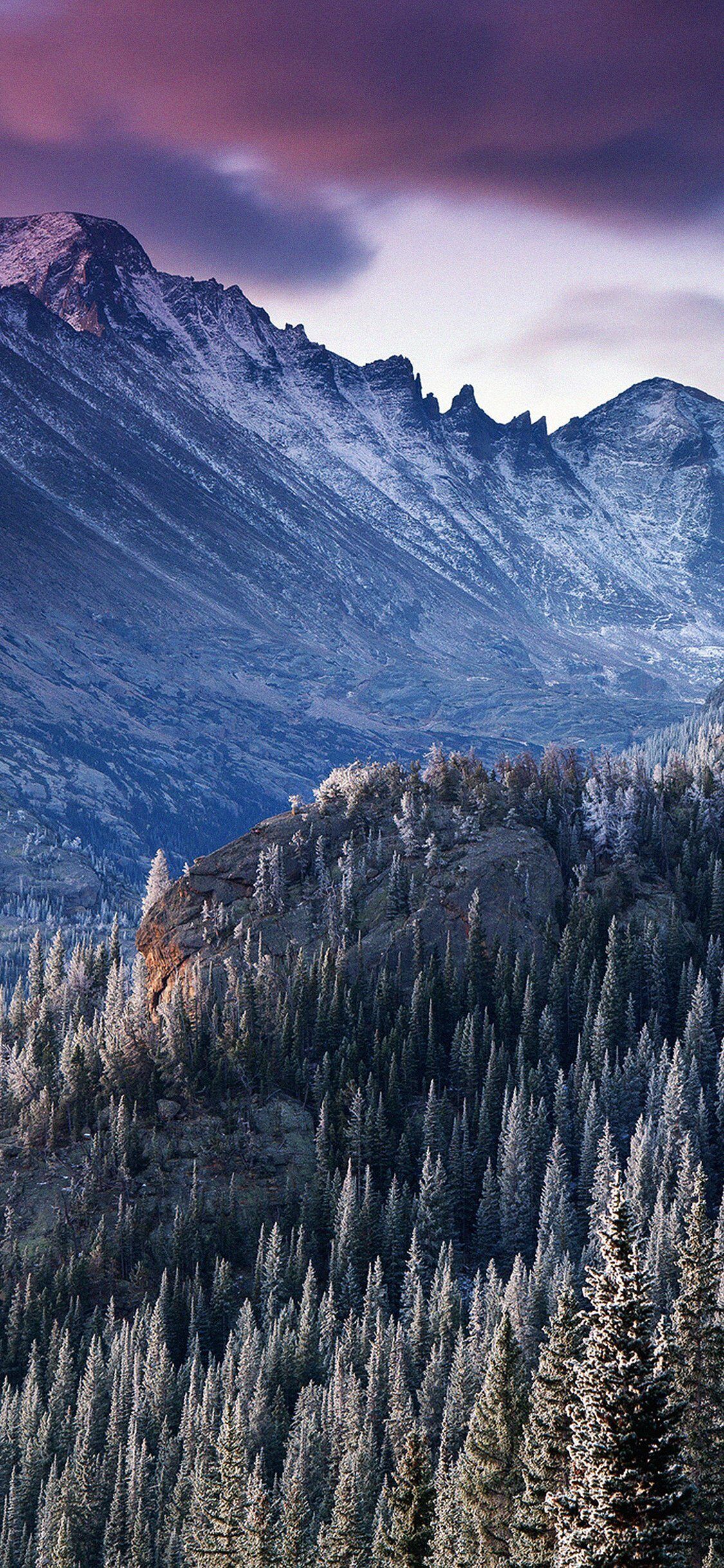 1125x2436 Winter Mountain Woods Tree Nature Cold iPhone Wallpaper
