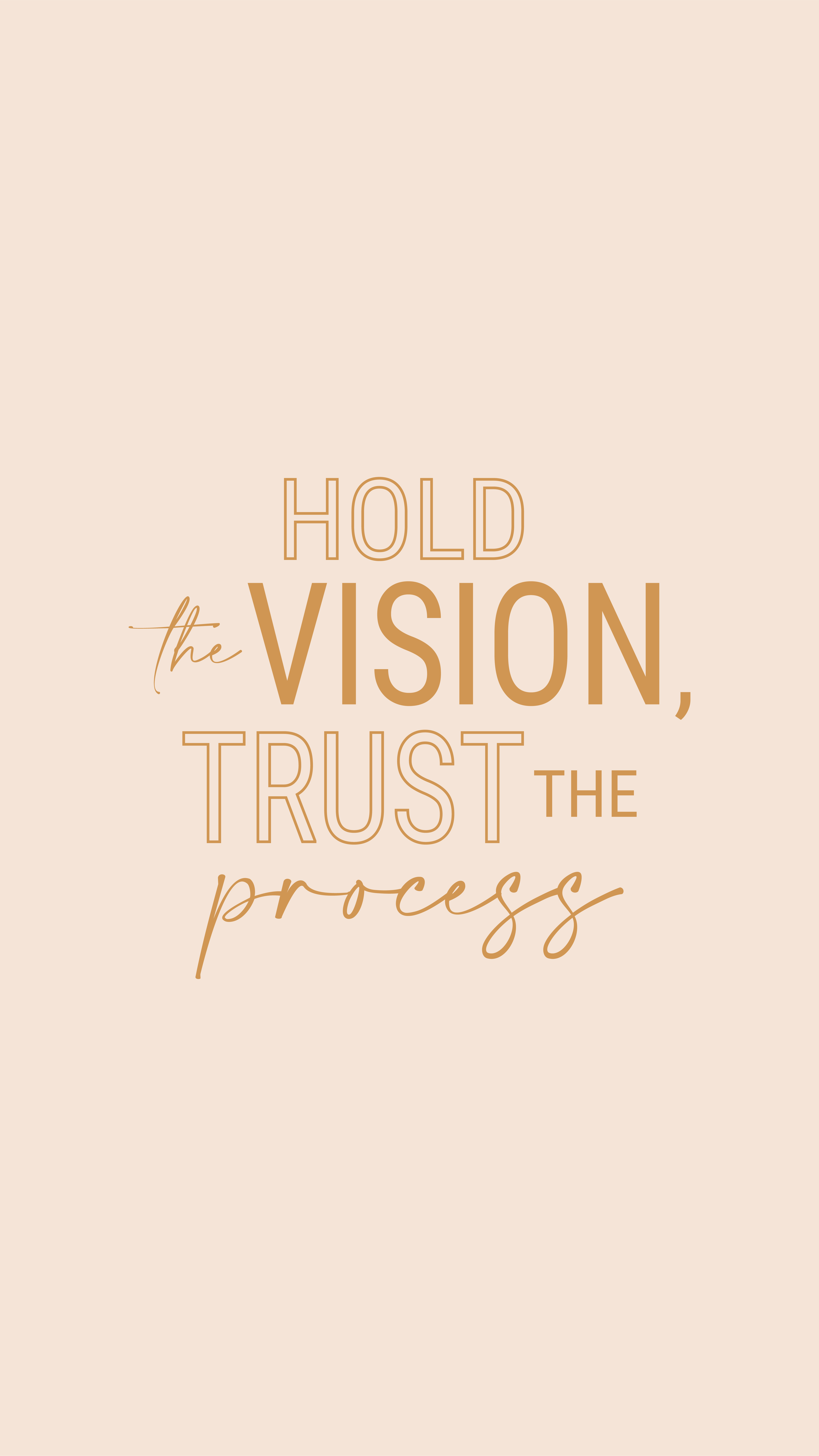 4500x8001 Hold the vision, Trust the process quote for Instagram story