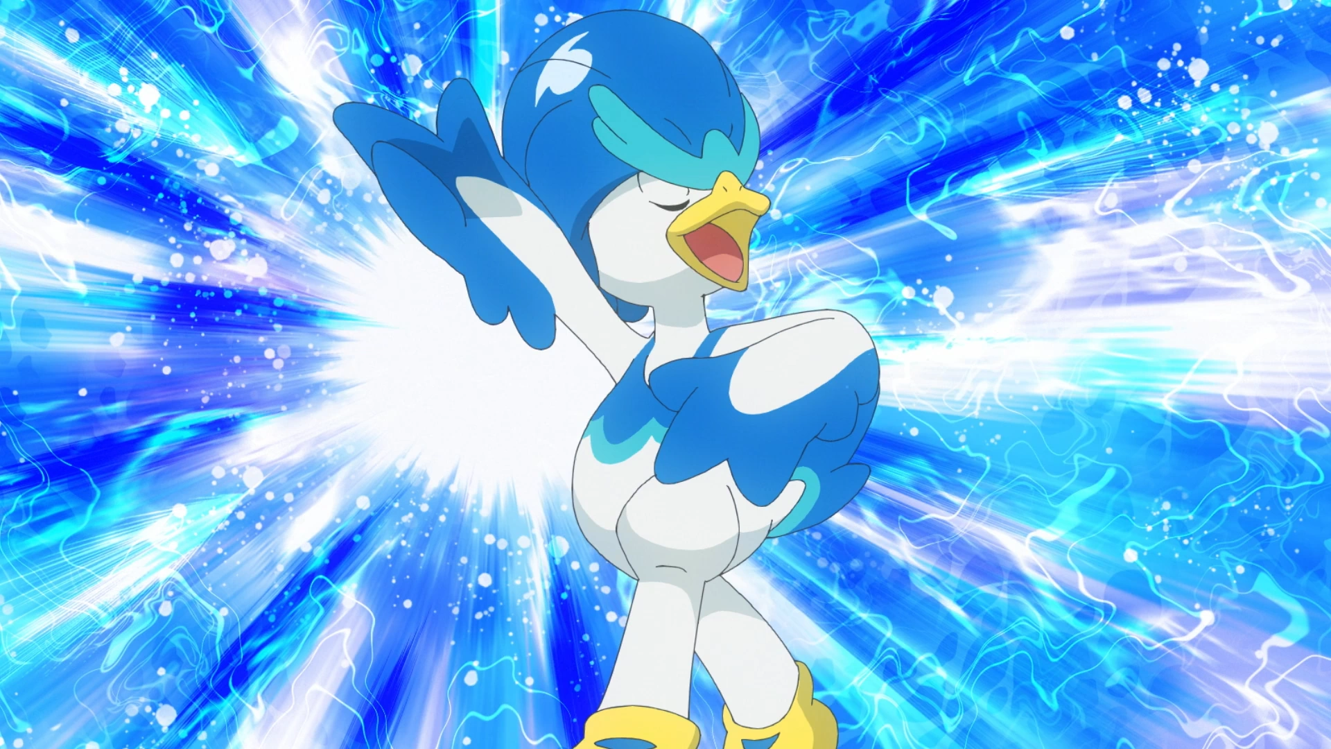 1920x1080 Dot's Quaquaval. Pokémon