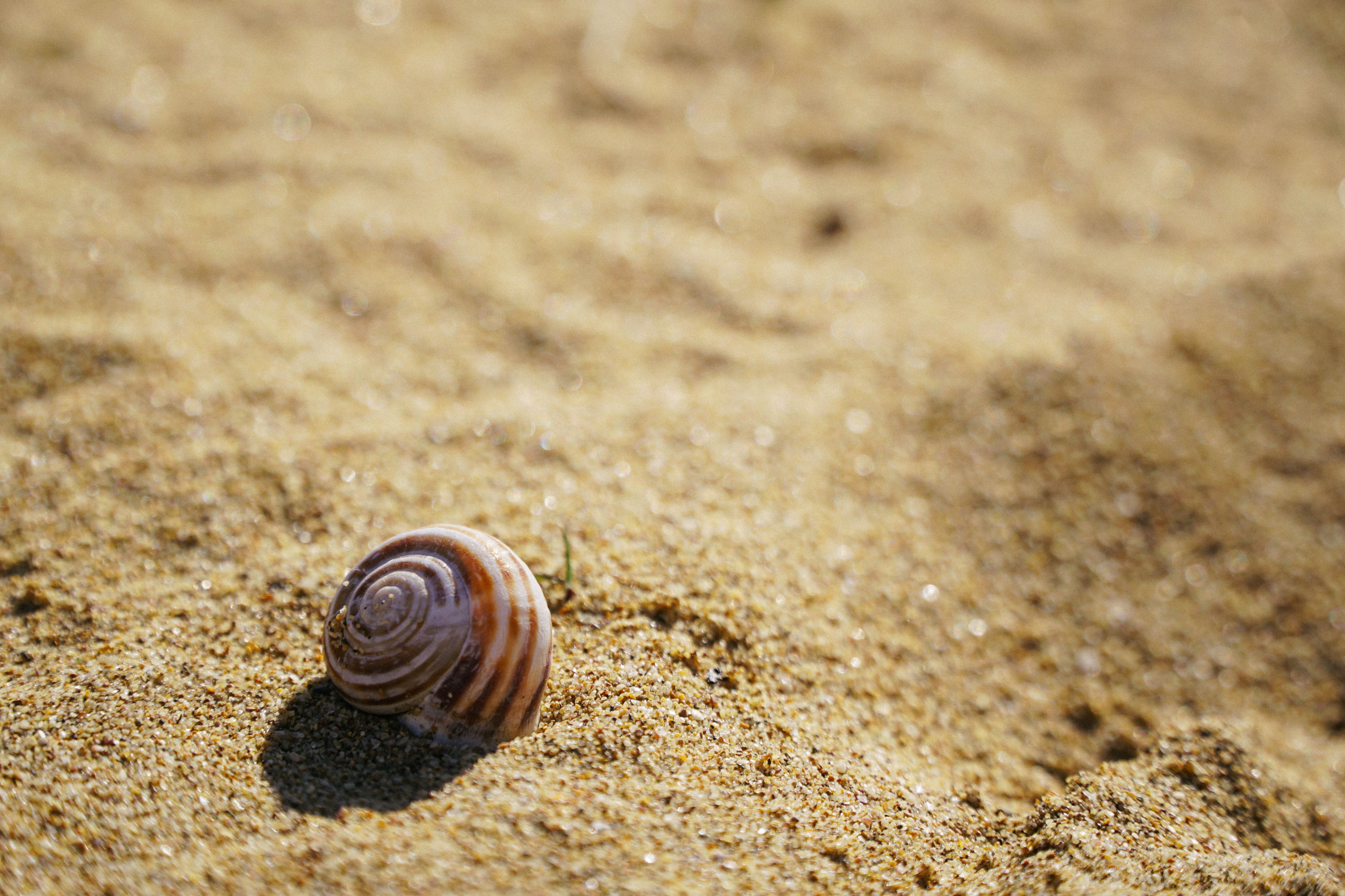 6000x4000 Silica Sand Photo, Download The BEST Free Silica Sand & HD Image