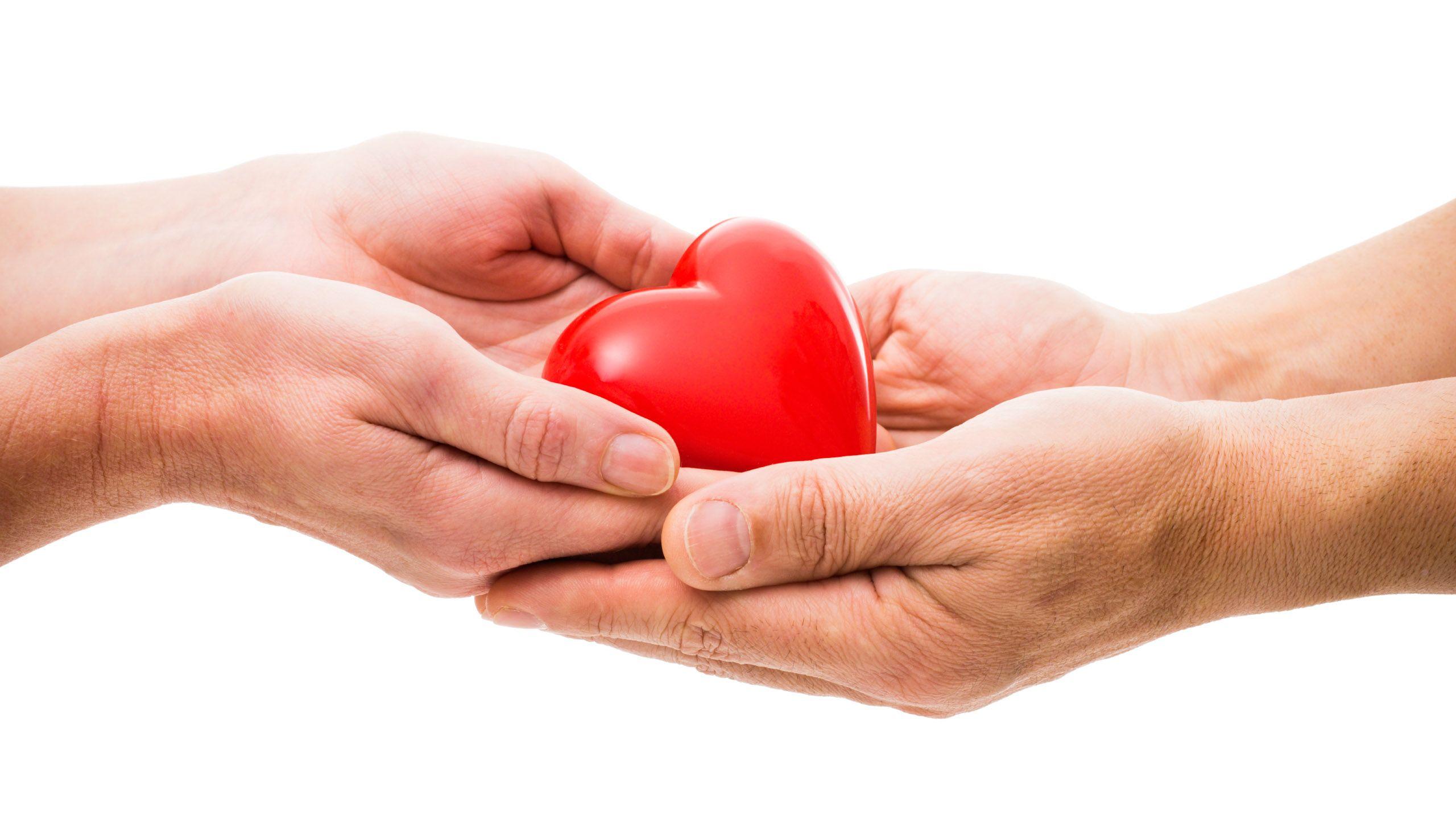 2560x1440 Deathxpert Opinion: Organ Donation and Home Funerals. The Order of the Good Death