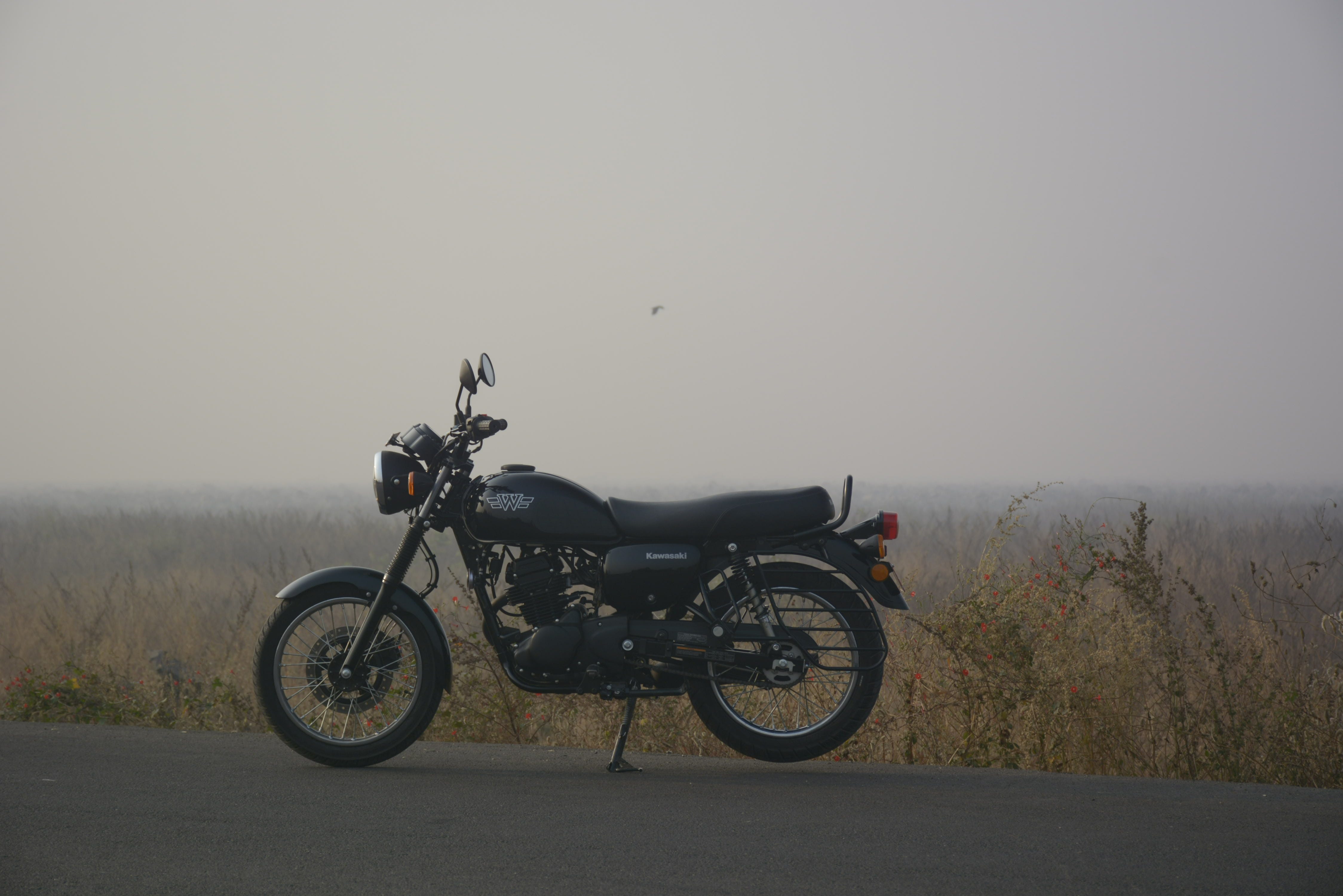 4496x3000 Kawasaki W175 Left Side View Image