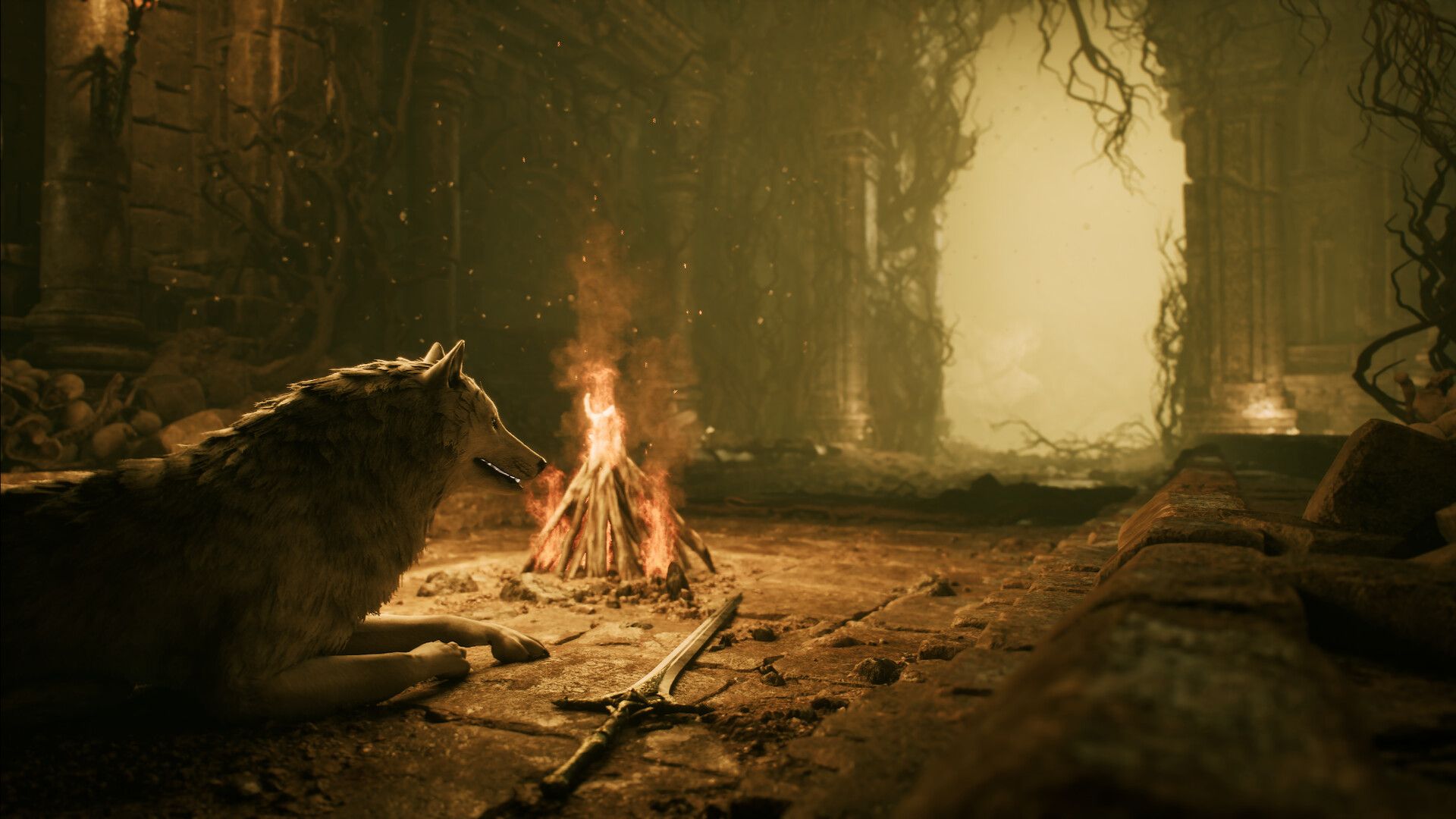 1920x1080 Dark Souls Fans Got This One Right: New Soulslike Where You Play As A Sif Coded Dog With A Sword Is Now And Forever Bark Souls