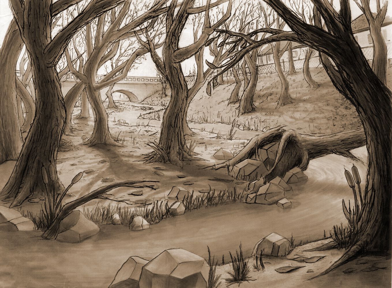 1359x1000 Realistic Drawings Wallpaper