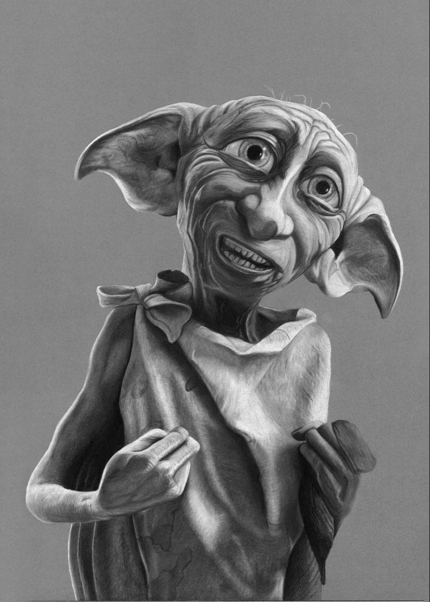 858x1200 Download Dobby Realistic Drawing Wallpaper