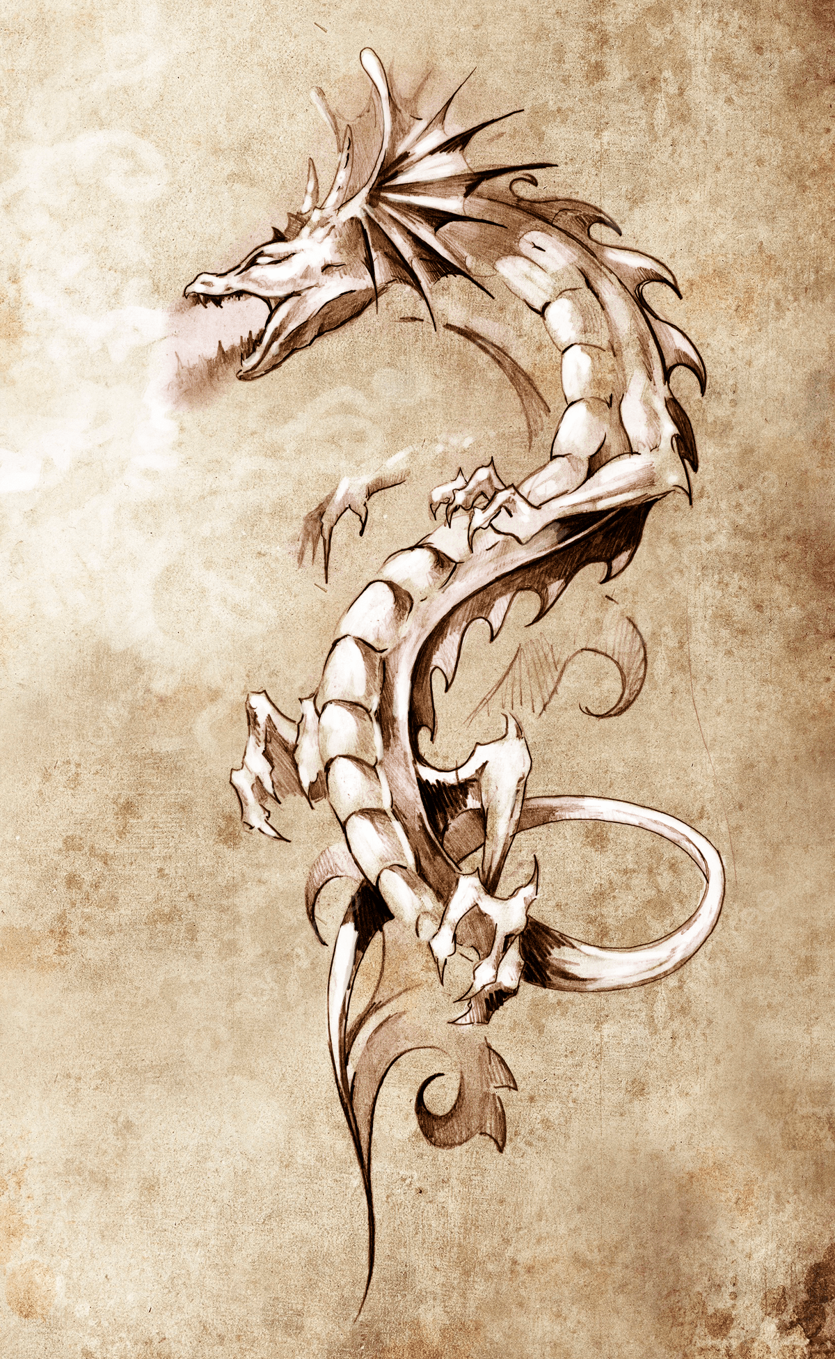 1200x1952 Tattoo Art Sketch A Massive Medieval Dragon In A Fantasy Realm Photo Background Wallpaper Image For Free Download