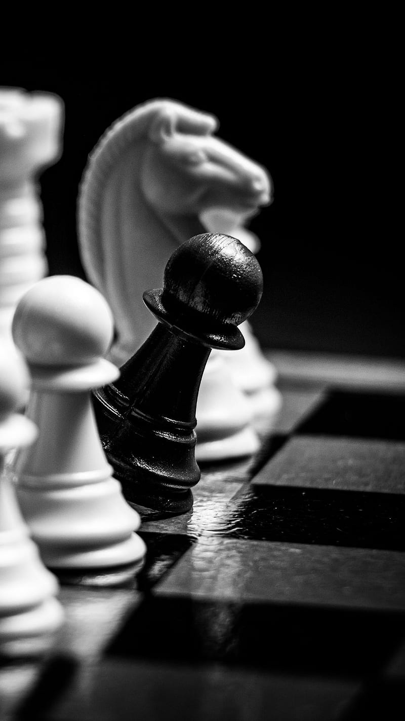 800x1422 Chess, black, board, king, label, society, zen, HD phone wallpaper