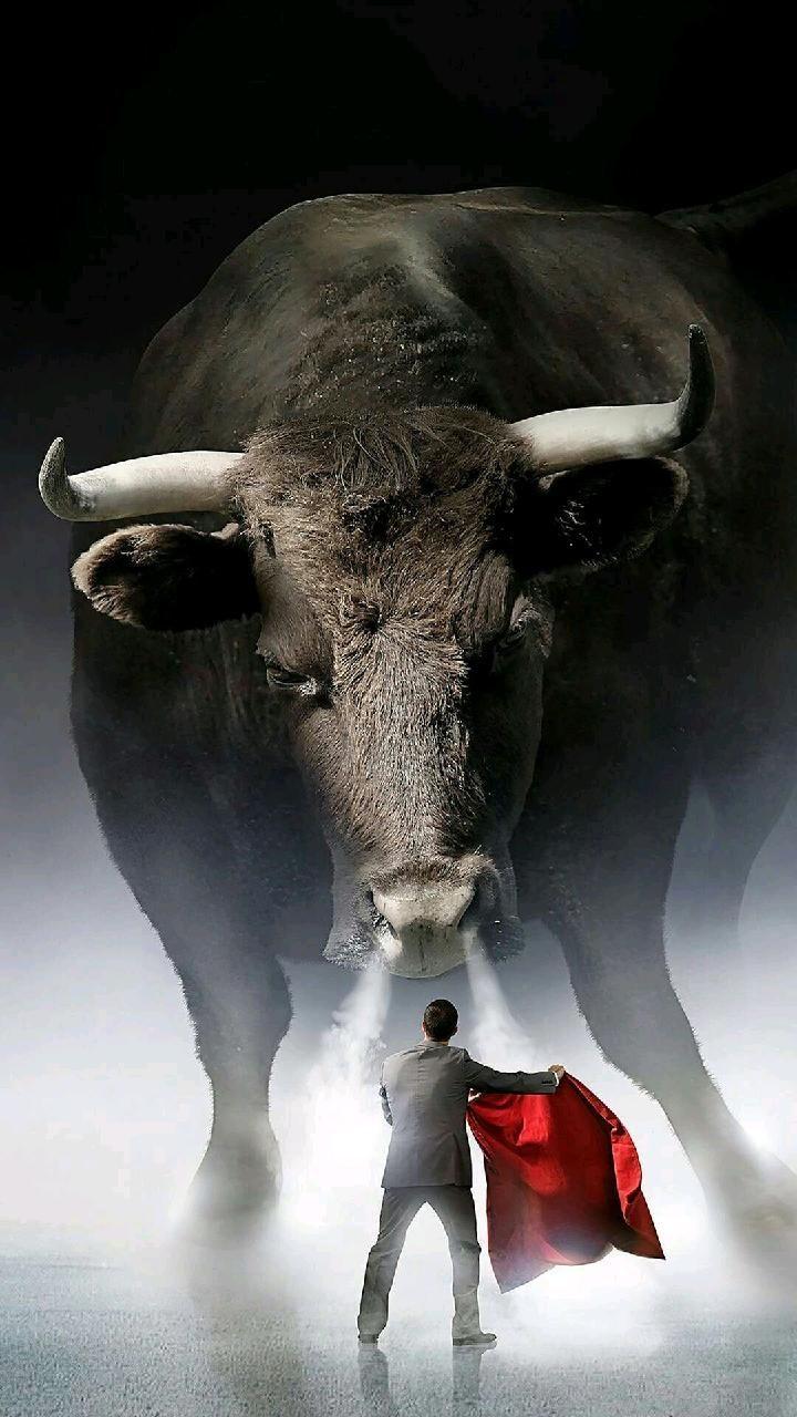 720x1280 Download Bull vs man wallpaper by varunvenky6342043 now. Browse millions of popular galaxy wallpaper and ringtones on Z. Bulls wallpaper, Cats illustration, Bull