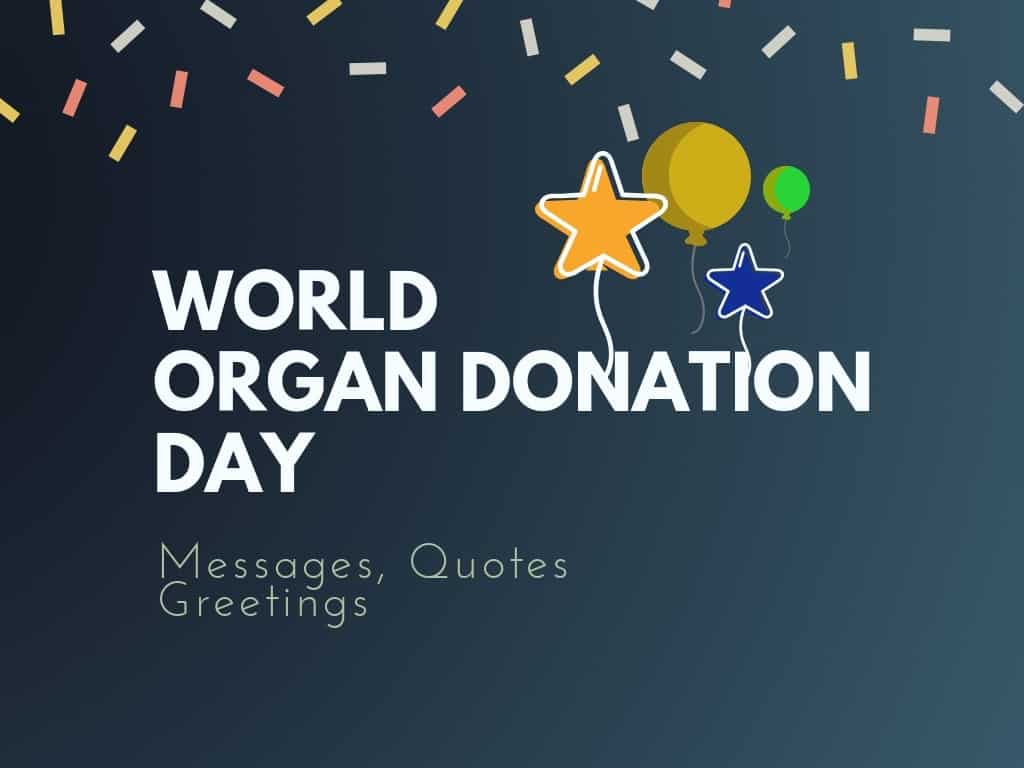 1024x768 World Organ Donation Day: Best Messages, Quotes & Greetings
