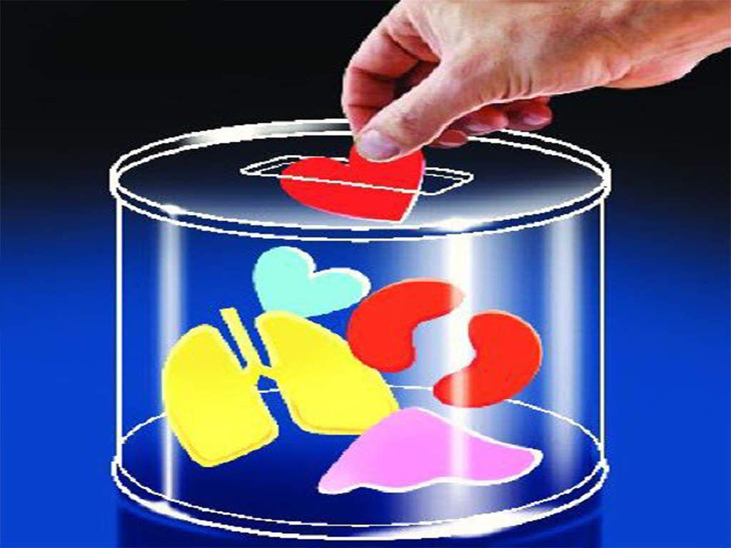 1024x768 things one must know before pledging to donate organs, Health News, ET HealthWorld