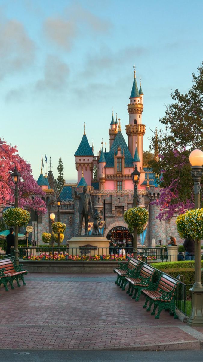 675x1200 disneyland wallpaper