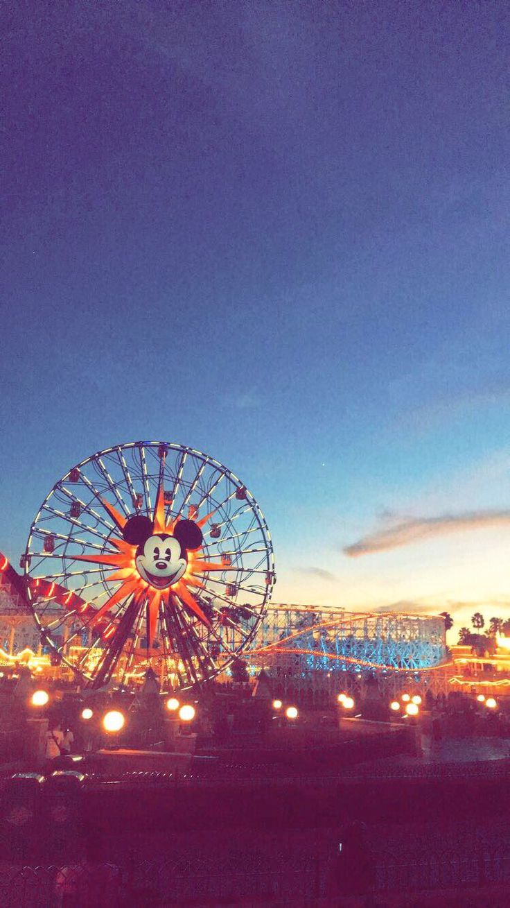 736x1309 California Adventure