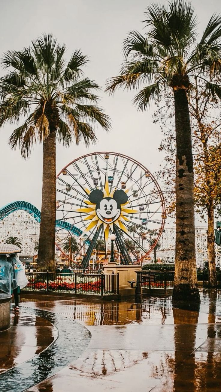 736x1308 Disneyland ♥️