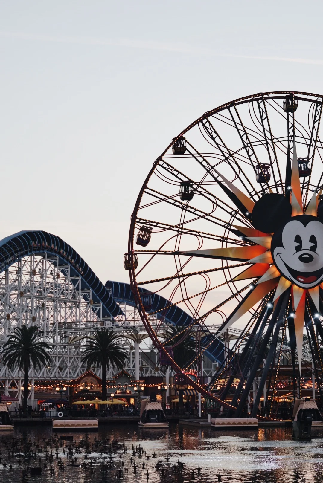 1080x1616 Disneyland & CA Adventure Photo Diary