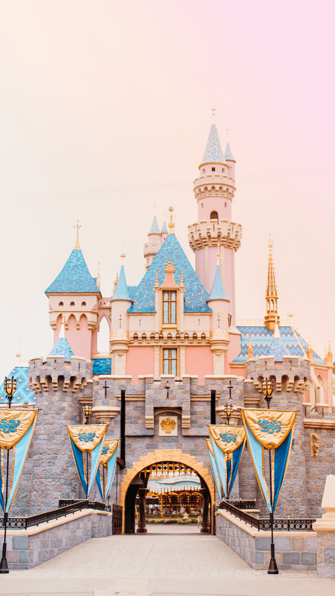 1080x1920 Disneyland Wallpaper