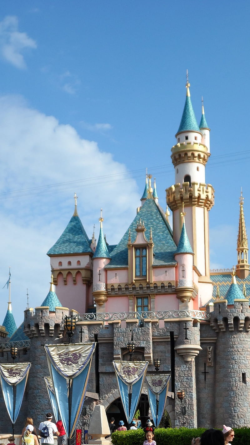 800x1426 Disneyland, castle, HD phone wallpaper