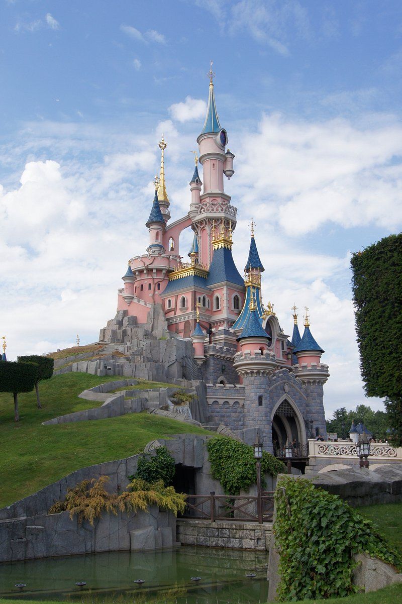 800x1202 Disneyland Castle Image Wallpaper