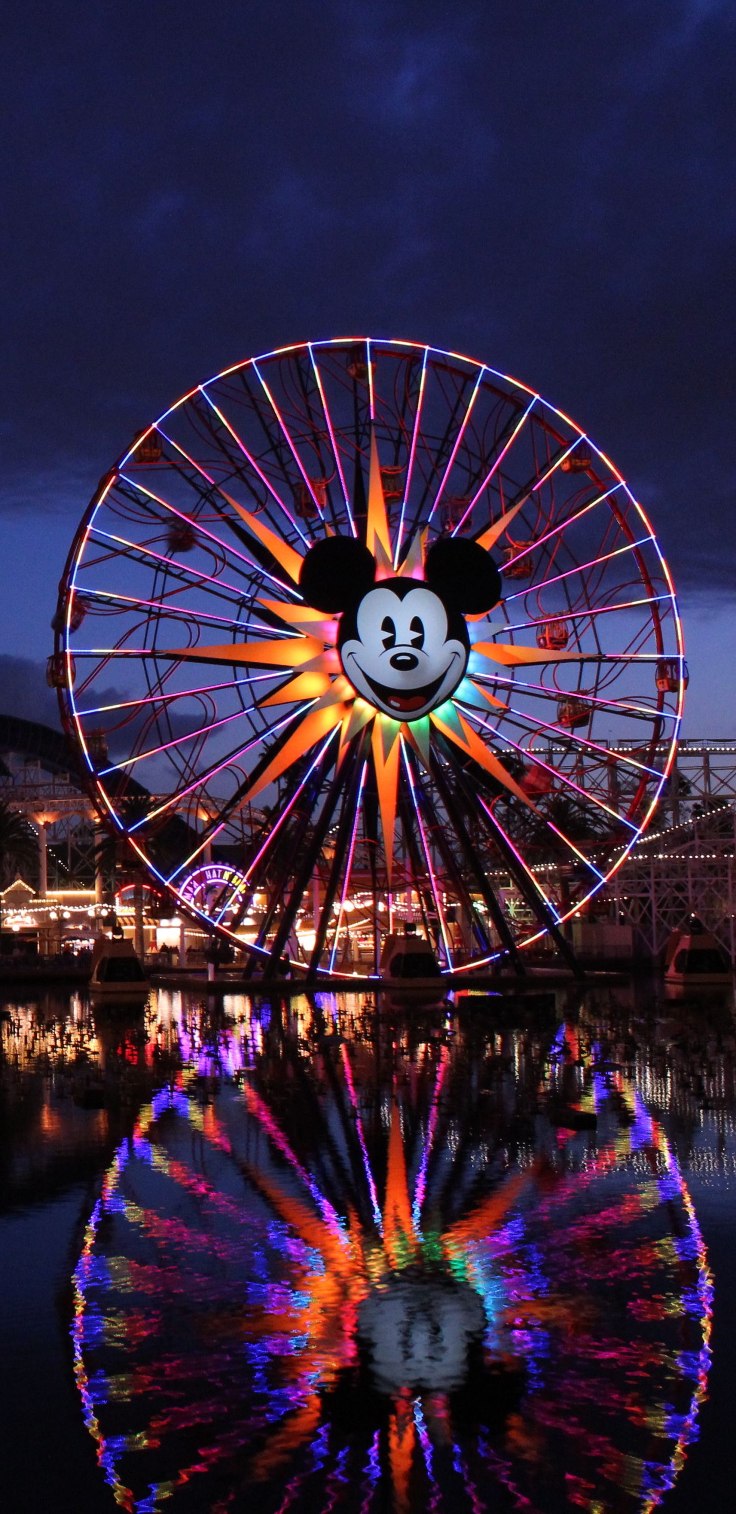 1440x2960 Phone wallpaper: Disneyland, Roller Coaster, Man Made, Amusement Park, Ferris Wheel, Reflection, California, Light, Night, Disney 1175345