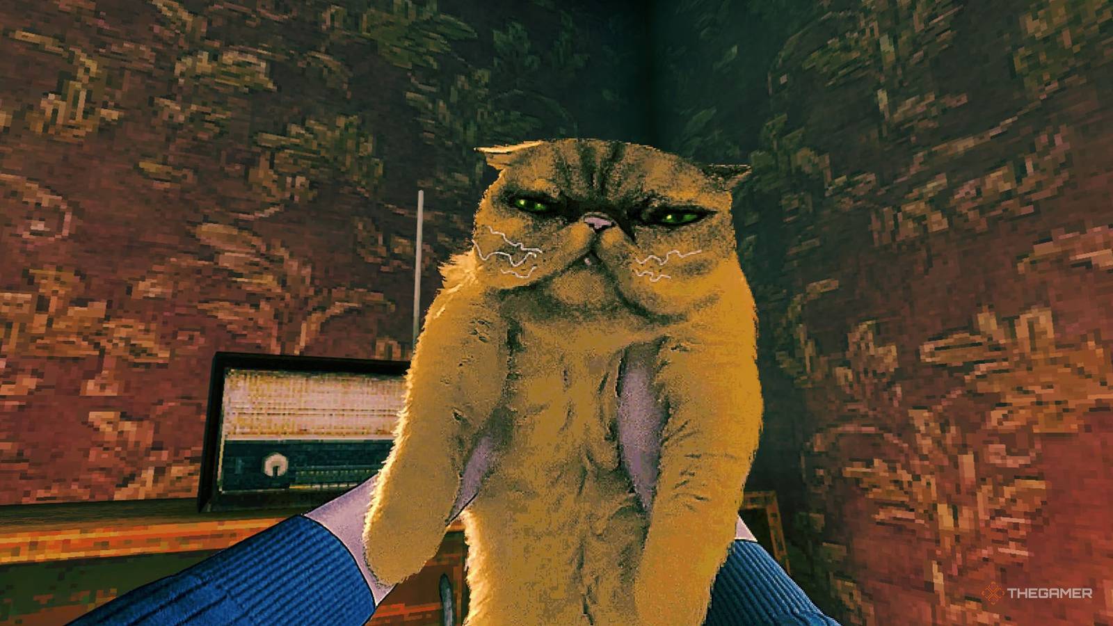 1600x900 Things We Wish We Knew Before We Opened Our Door To Strangers In No, I'm Not A Human