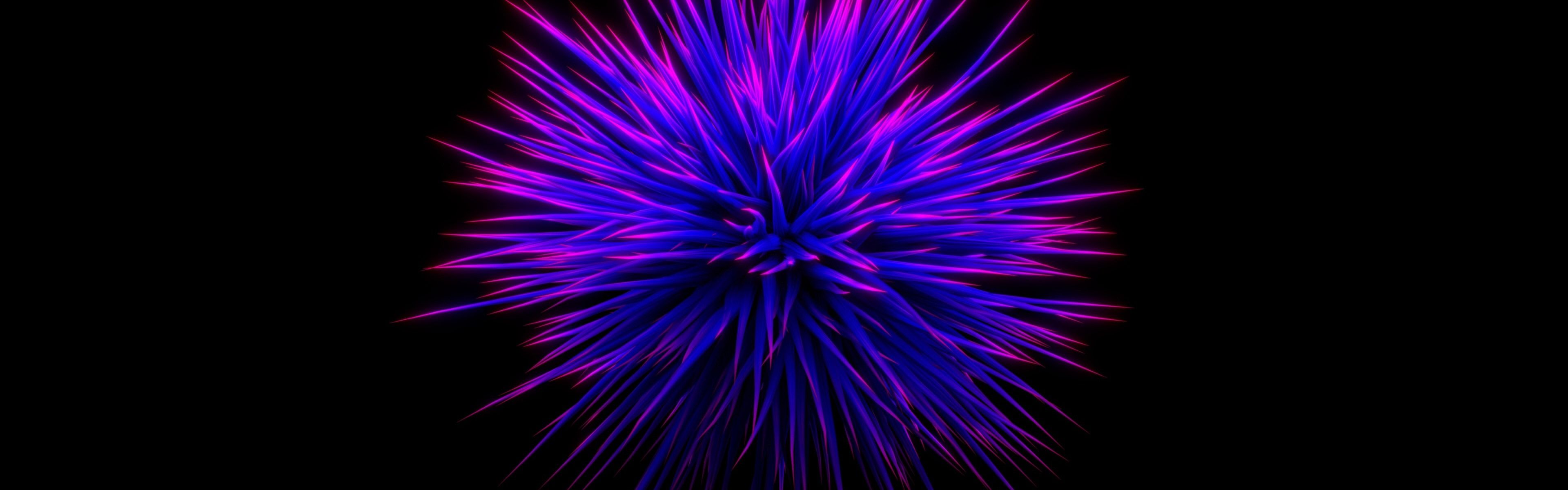 3840x1200 Wallpaper Purple flower, thorn, black background, abstract picture 3840x2160 UHD 4K Picture, Image