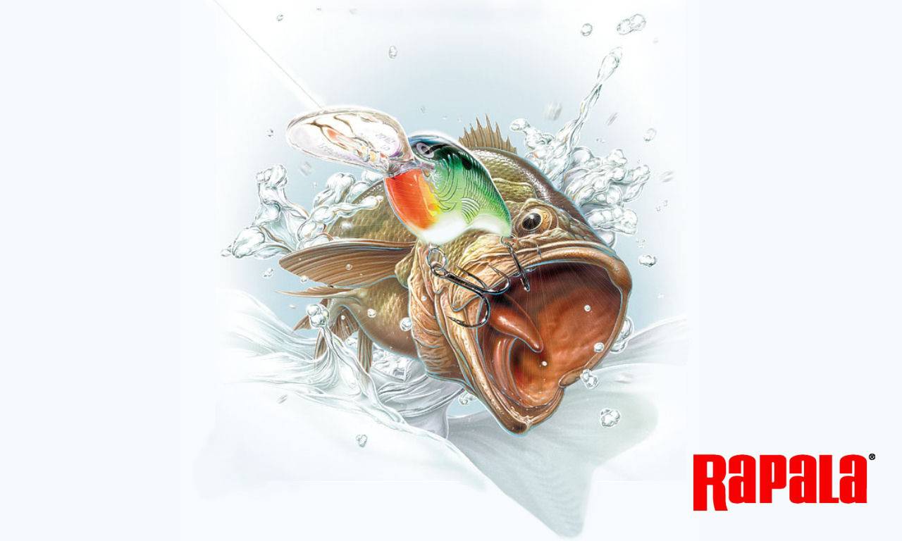 1280x768 Rapala Wallpaper