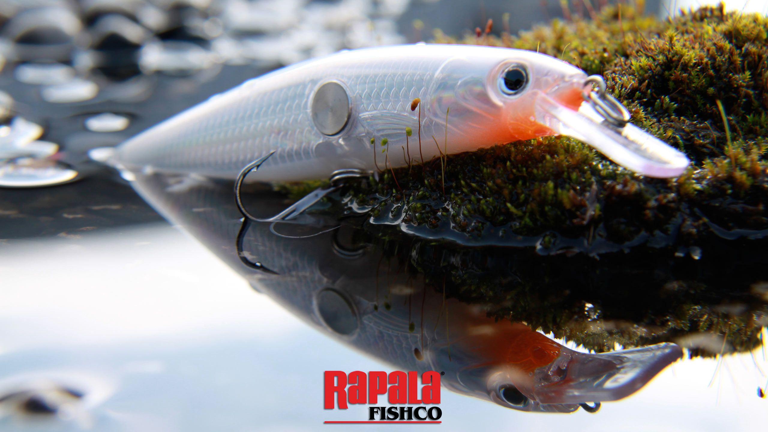 2560x1440 Rapala Wallpaper