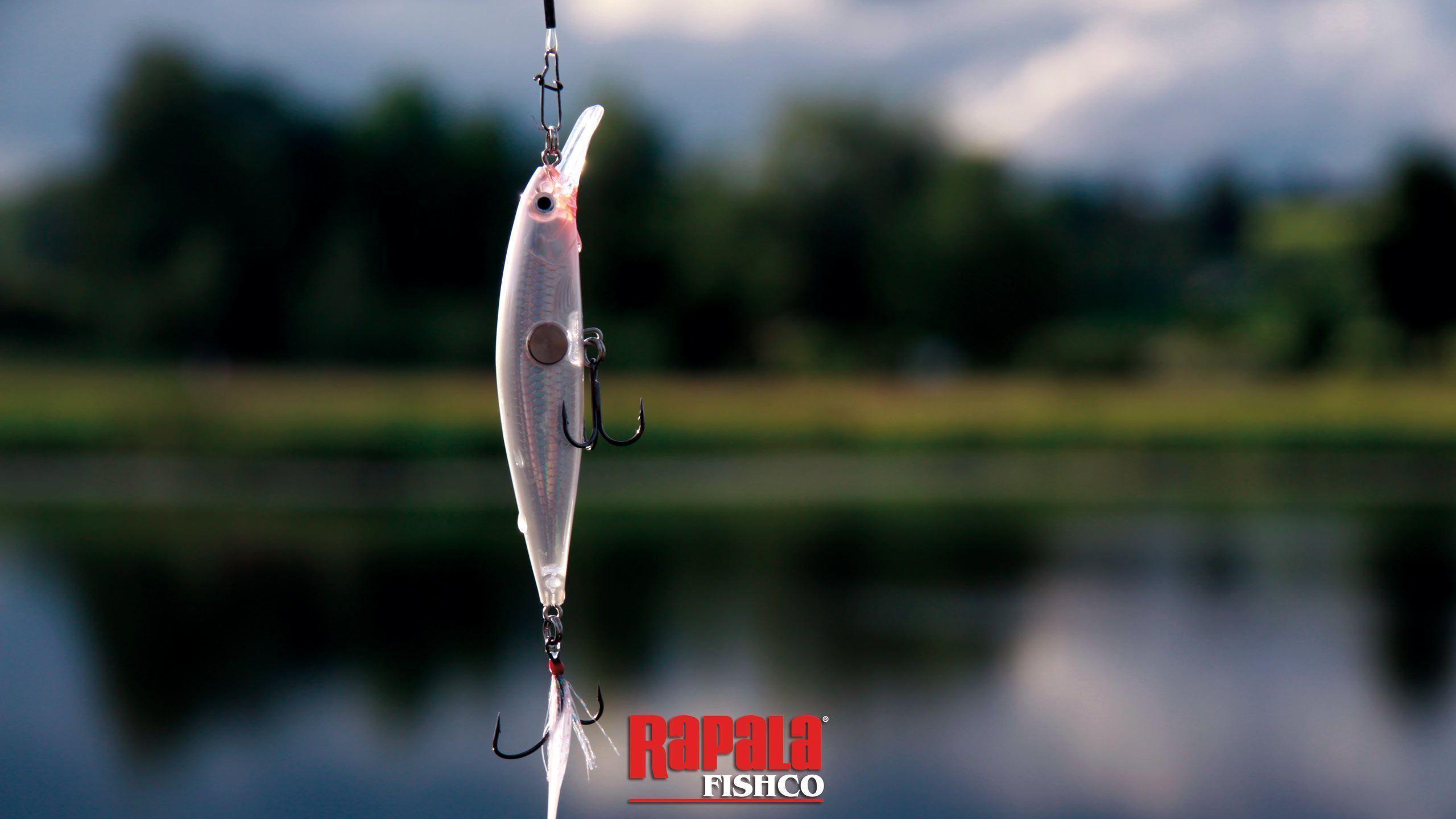 2560x1440 Rapala Wallpaper