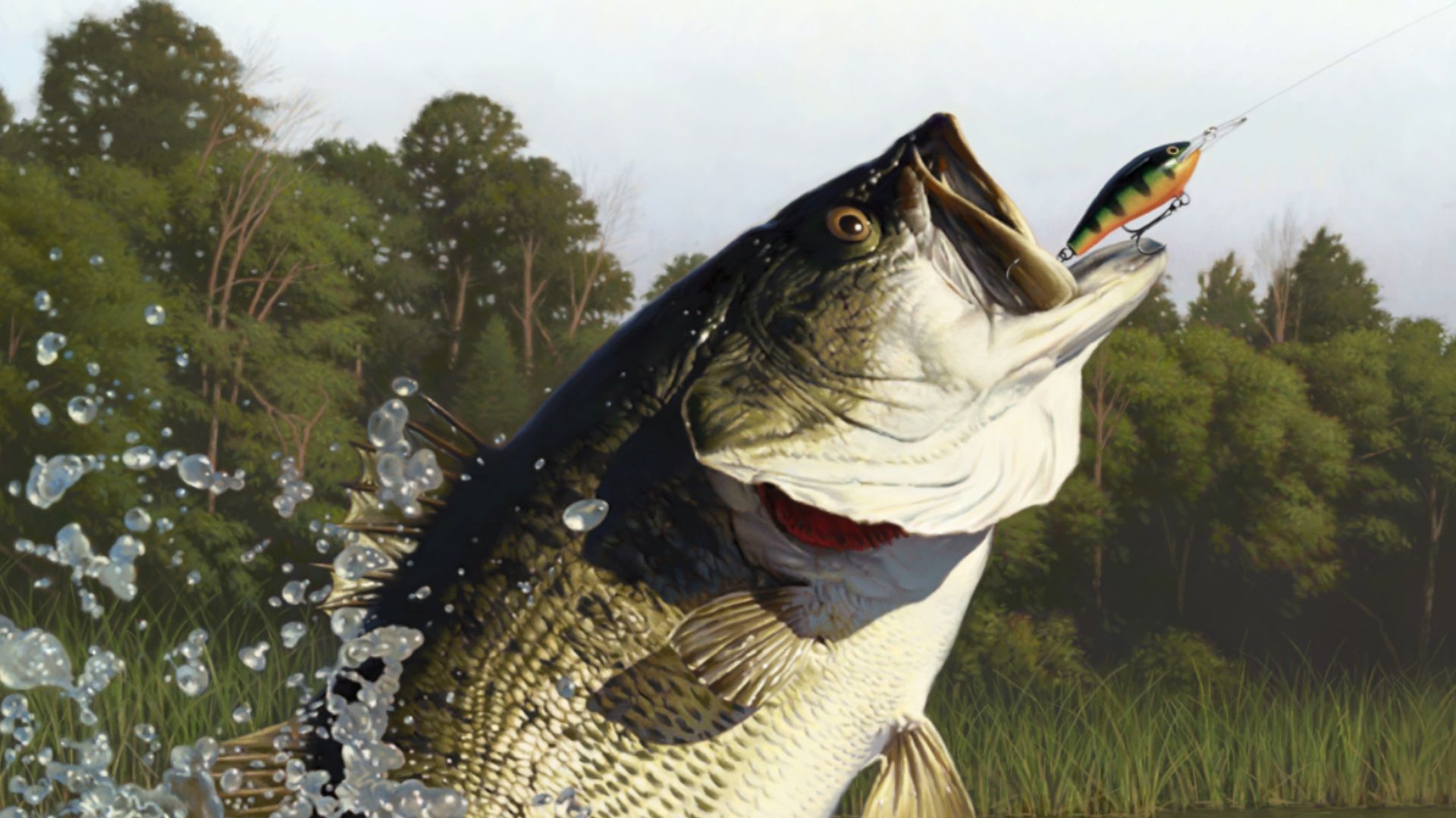 1920x1080 Rapala Fishing: Pro Series Review