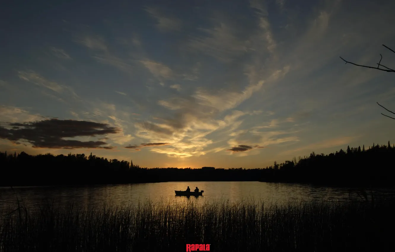 1332x850 Free forest, the sky 2K wallpaper for desktop and phone