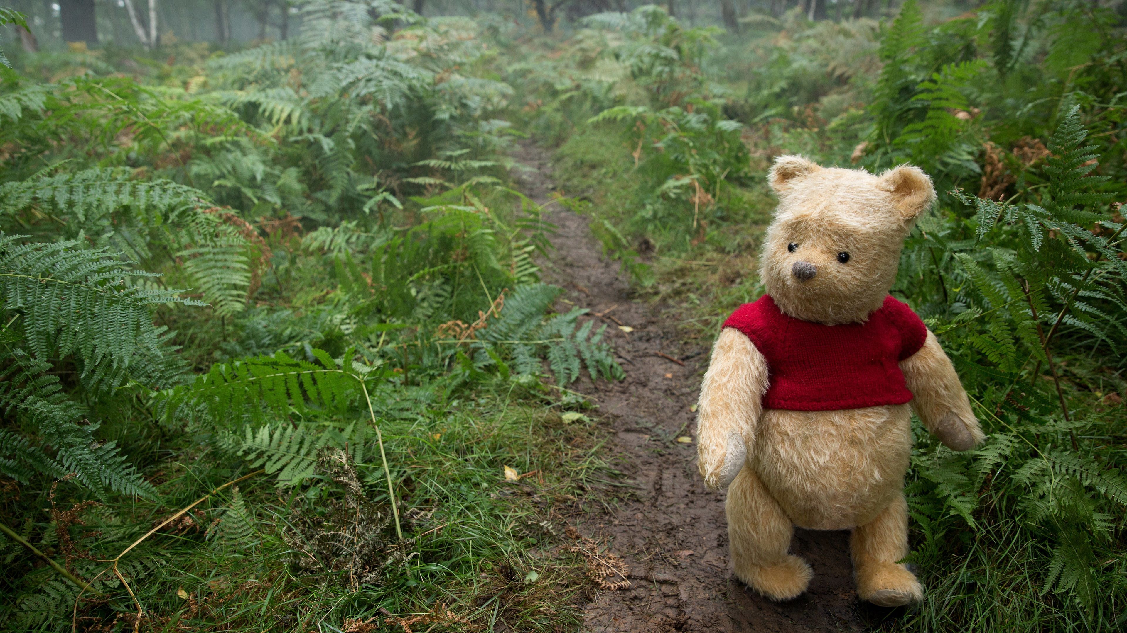 3840x2160 Winnie The Pooh 4k Wallpaper
