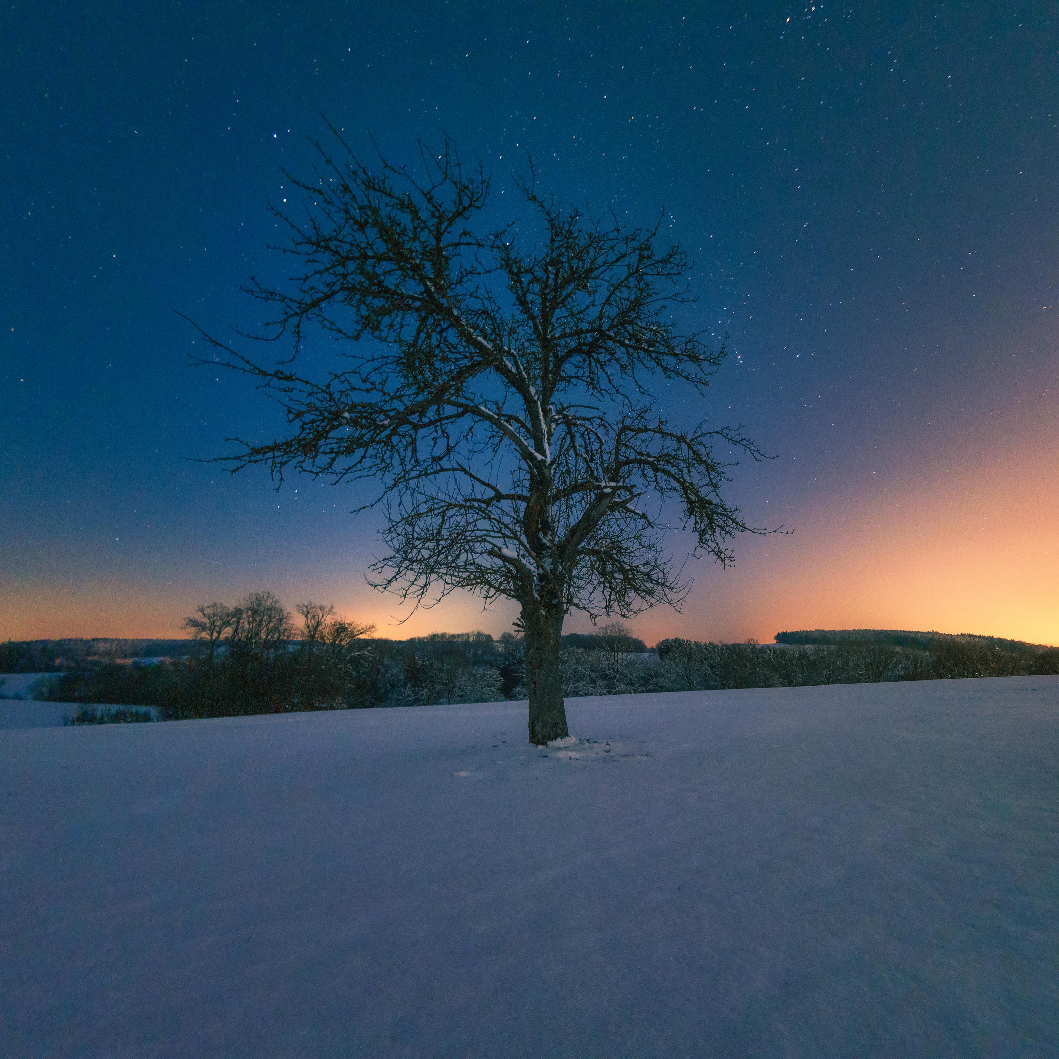 3500x3500 Quiet winter evening, Southern Germany [OC] [3500x3500]