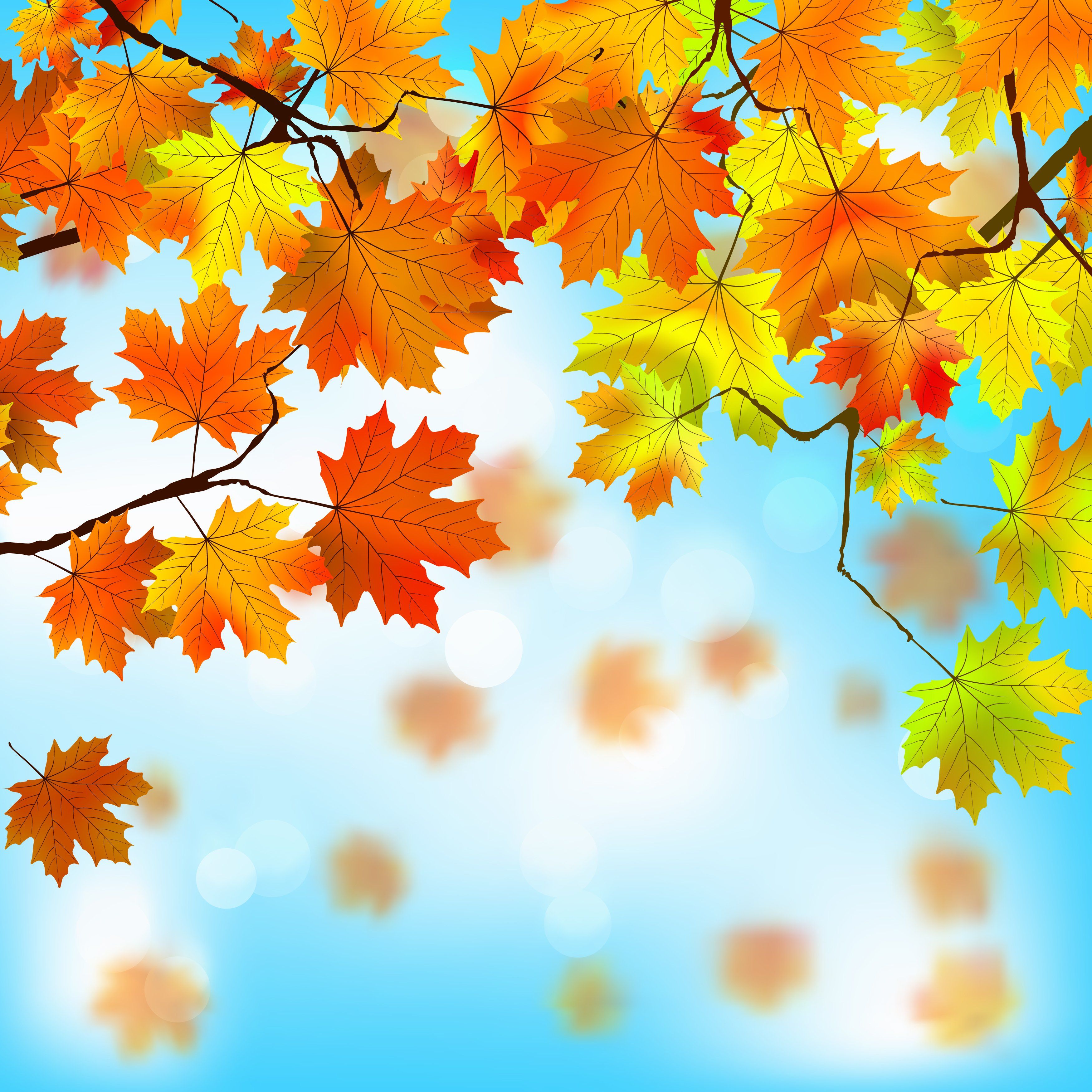 3500x3500 px HD Wallpaper Desktop Image and Photo