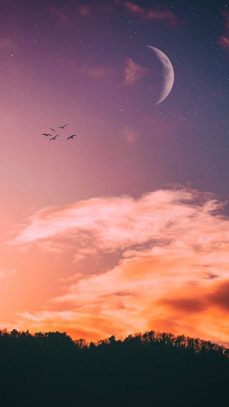 736x1308 Best Mobile Wallpaper for Android & iPhone in 2021 SB Mobile Mag