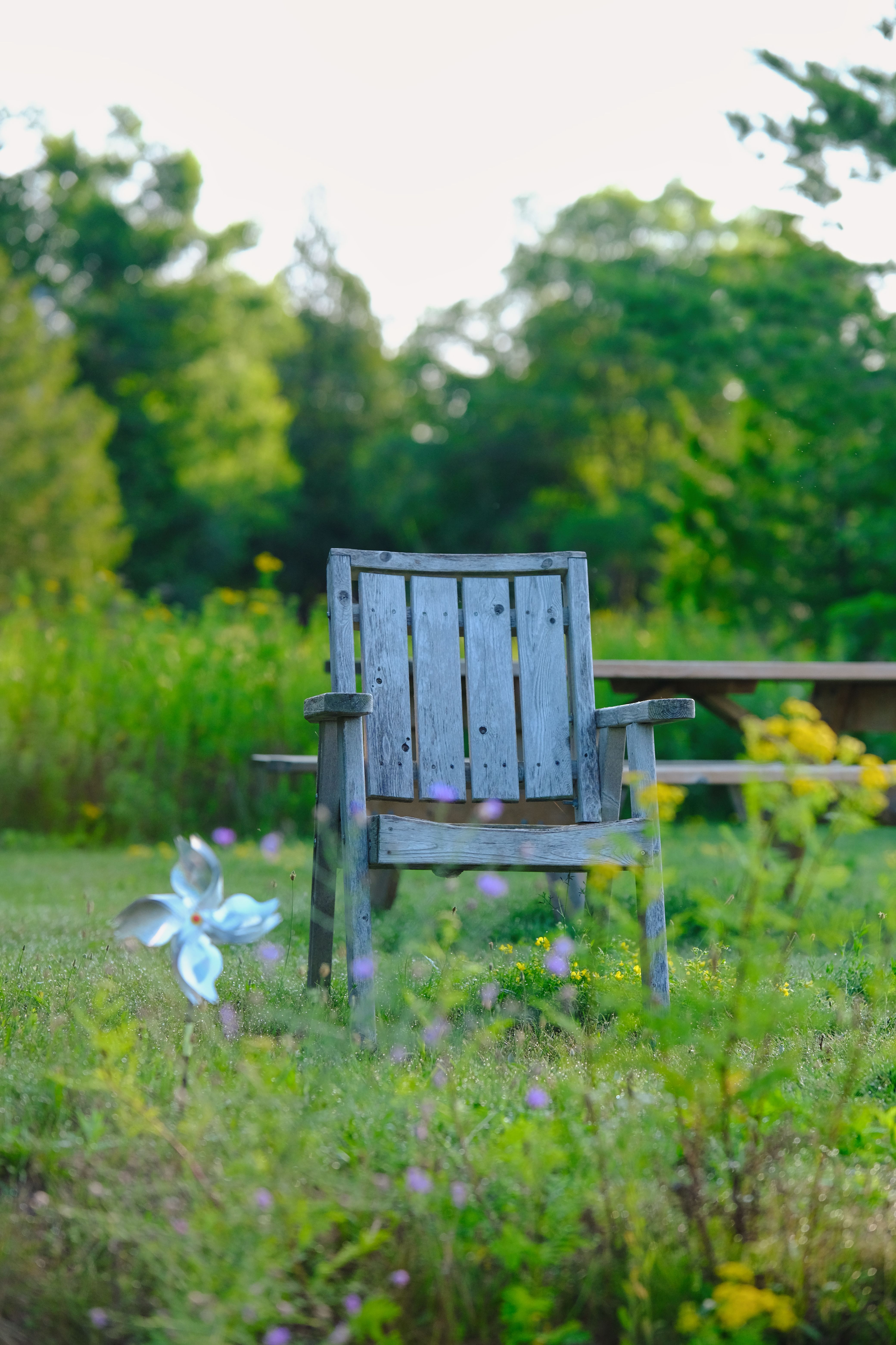 4160x6240 Wooden Chair in the Garden · Free