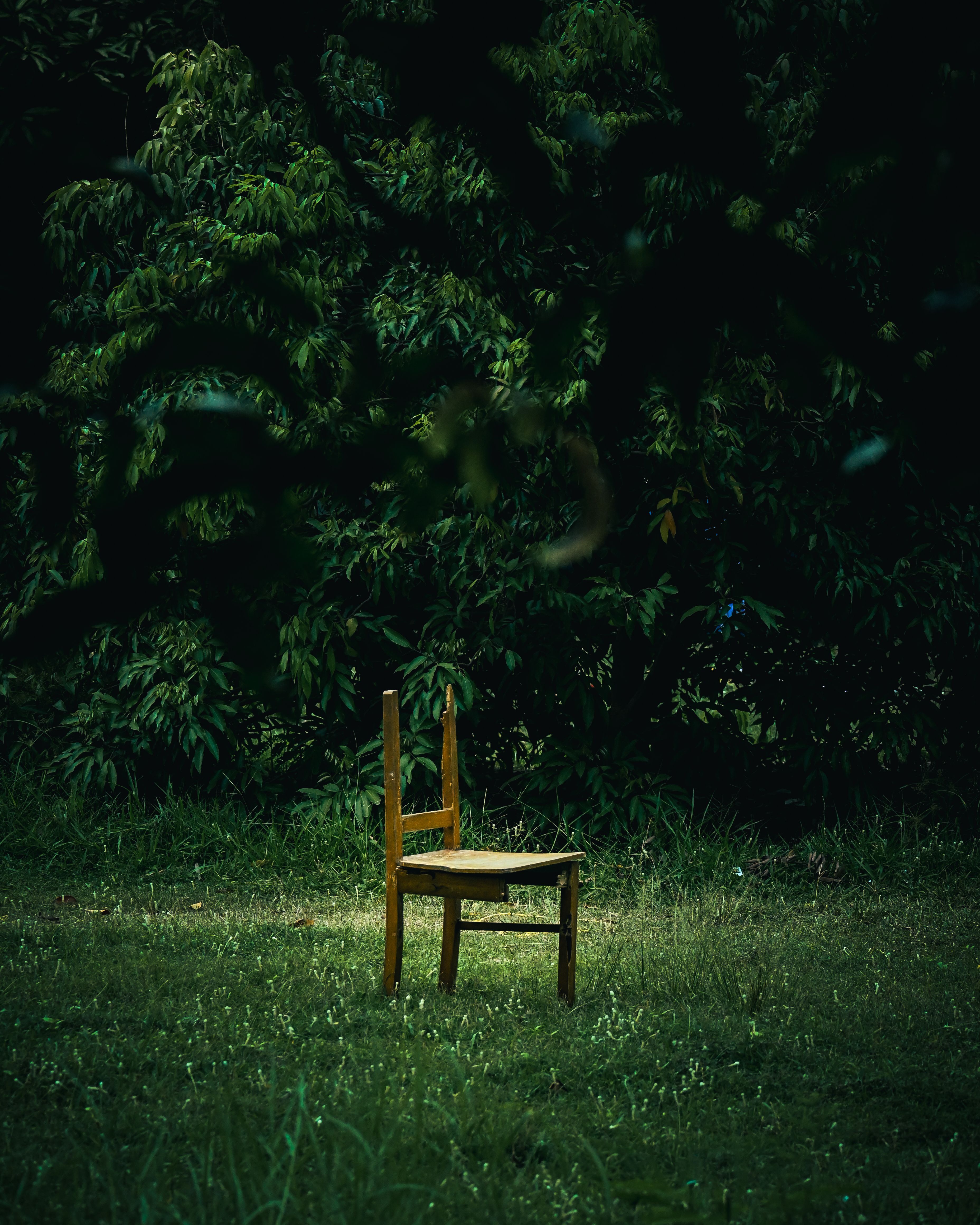 3712x4640 Wooden Chair in a Forest · Free