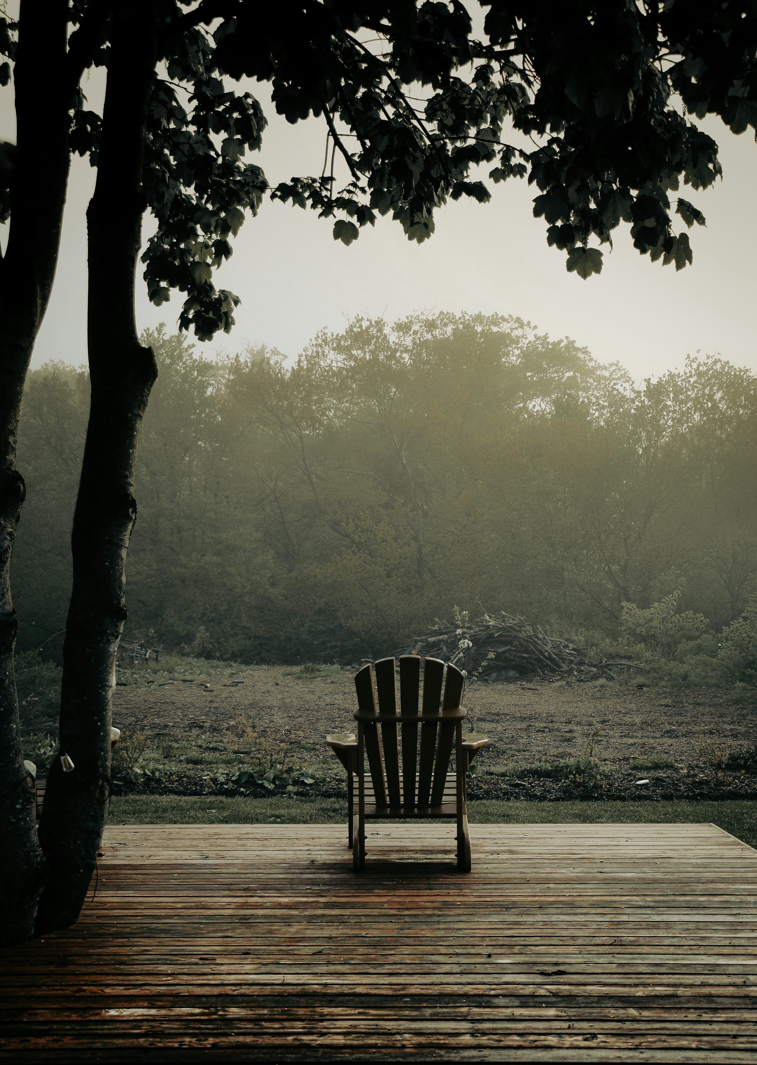 3000x4221 An adirondack chair on a wet deck with foggy trees