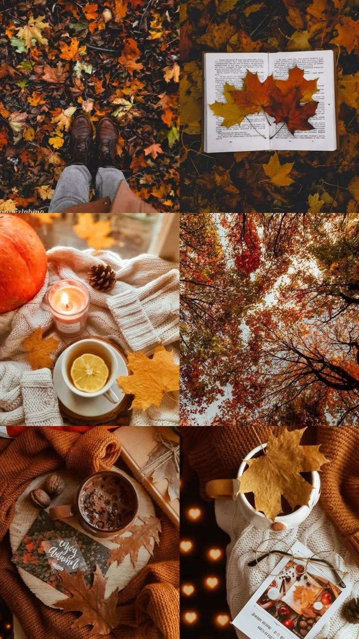 736x1308 Fall college wallpaper aesthetic. Thanksgiving aesthetic collage, Thanksgiving screensavers, Fall vibes