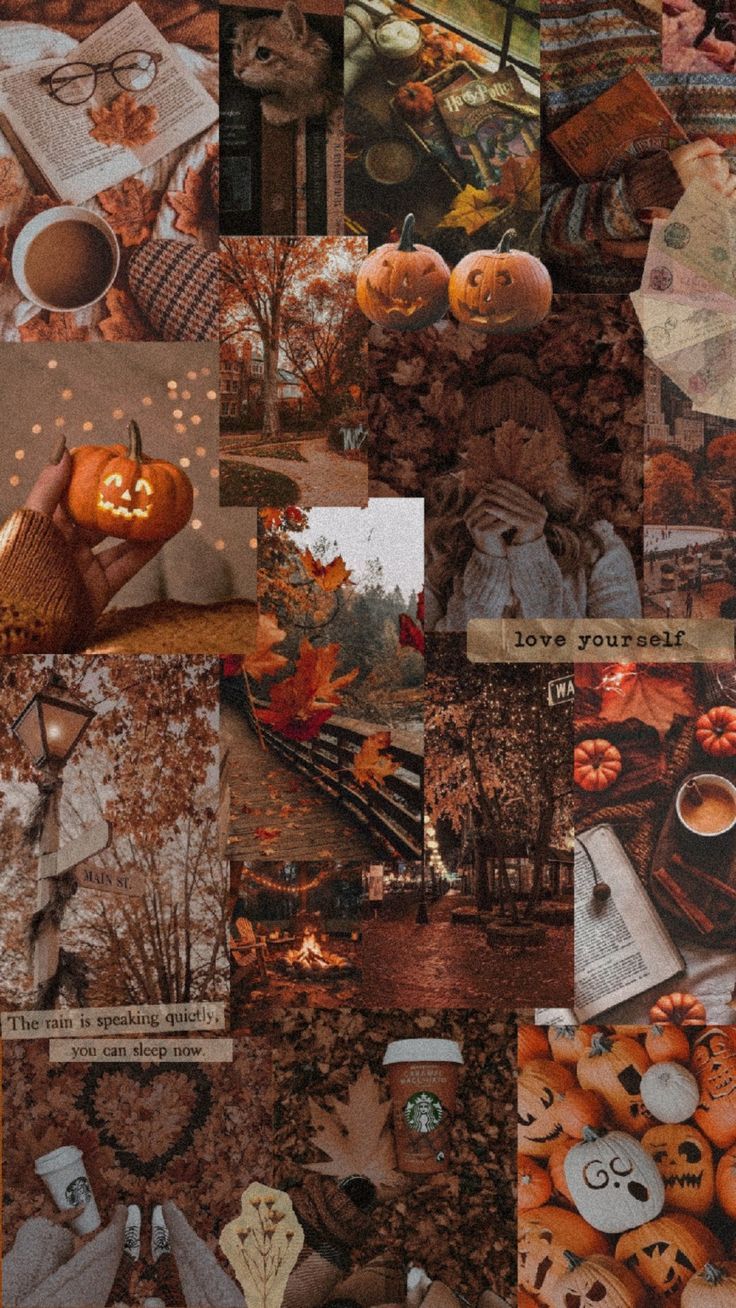 736x1308 Wallpaper fall